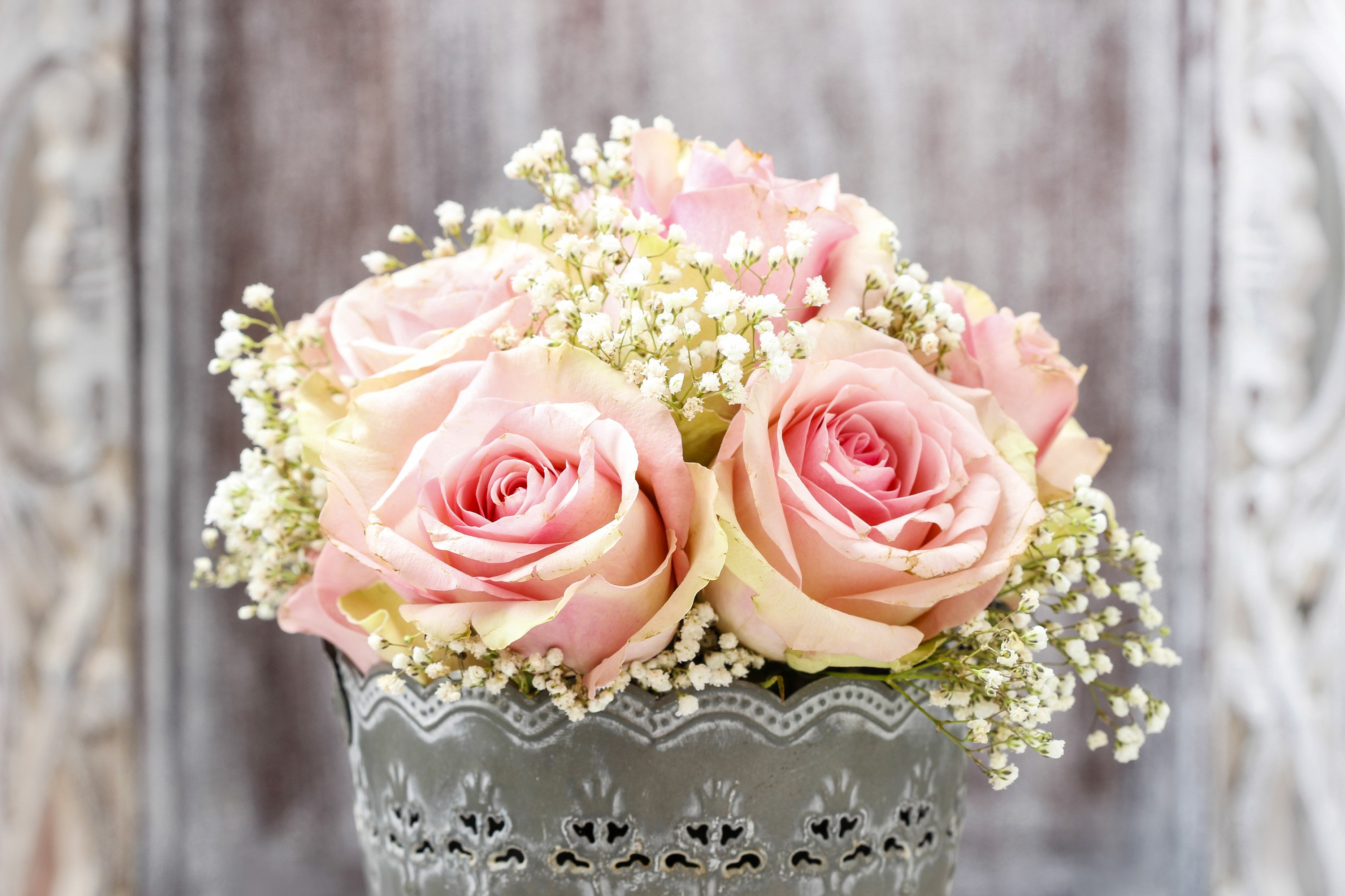 Pink roses and baby's breath in a decorative vase HD Wallpaper