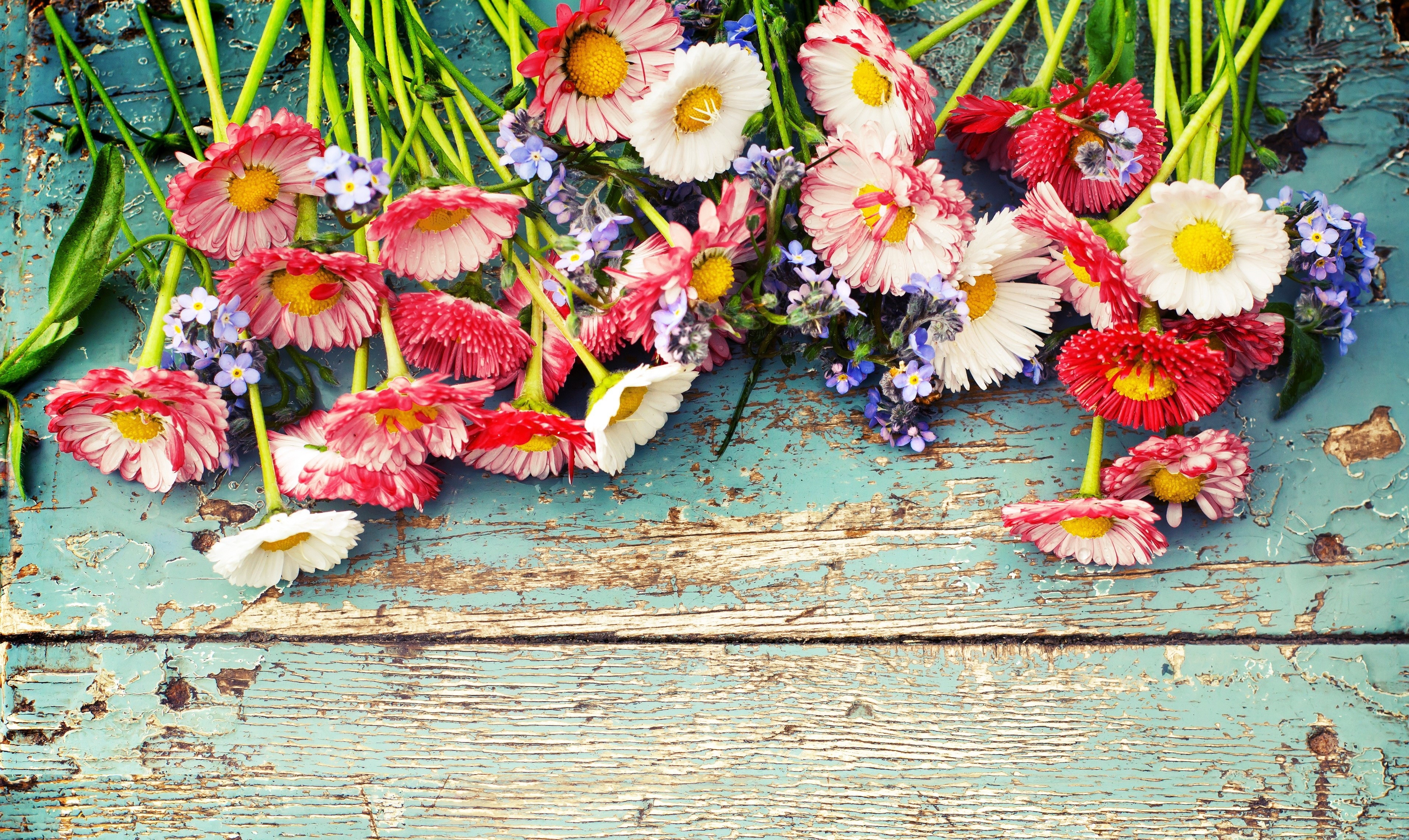 Bouquet of Daisies and Forget-Me-Nots on Rustic Wood HD Wallpaper