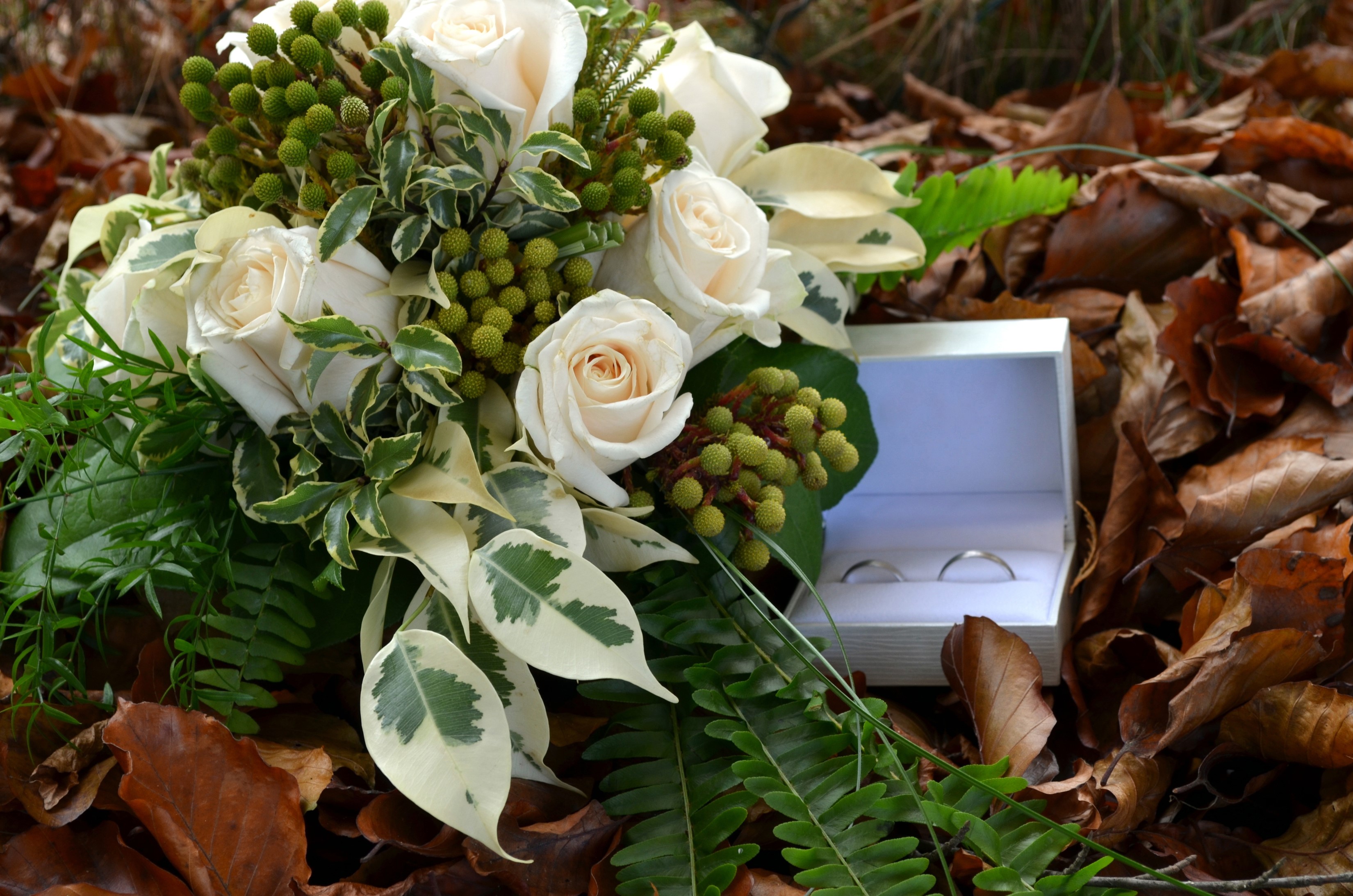 White roses bouquet and wedding rings in a box HD Wallpaper