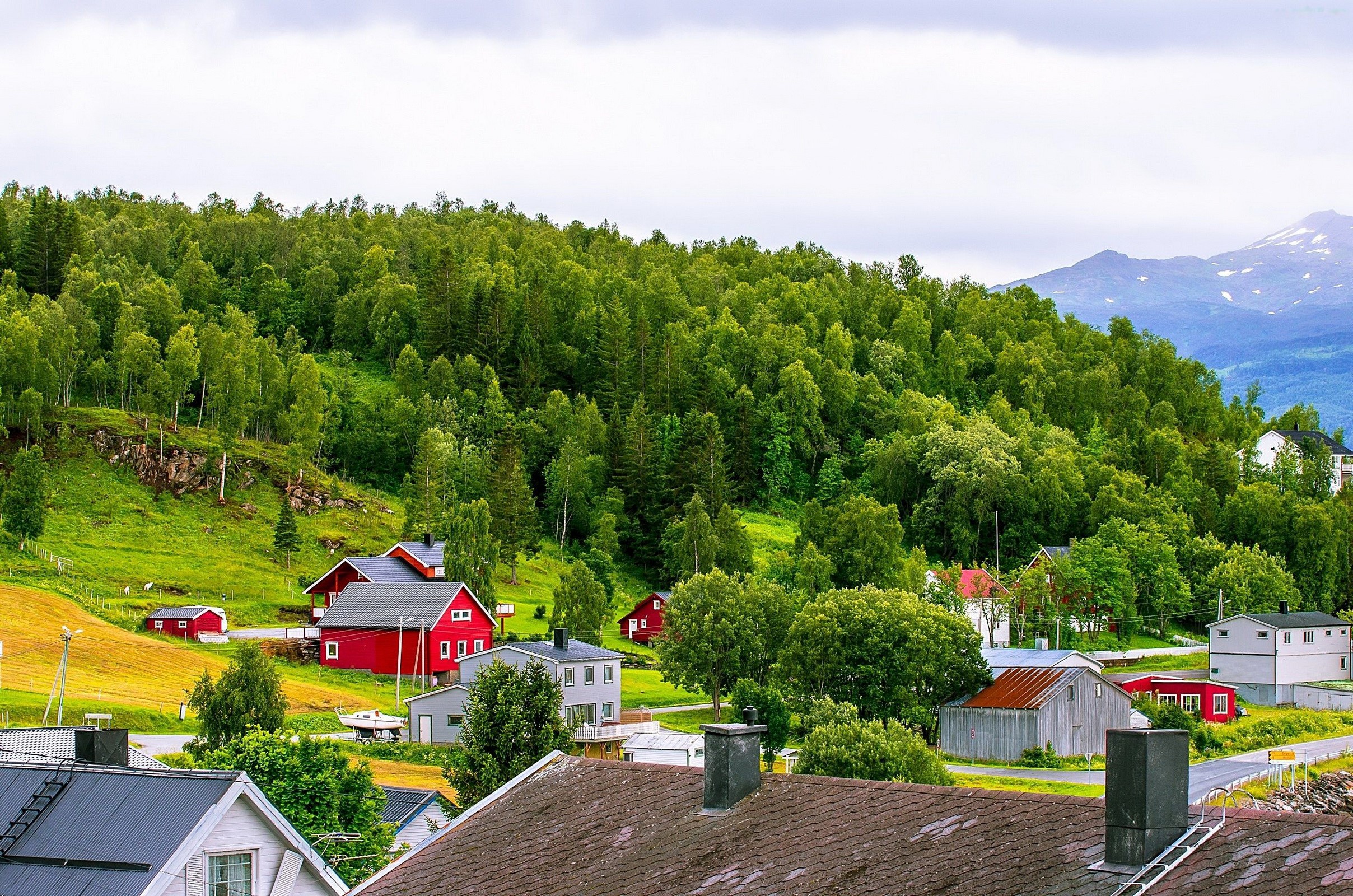Norwegian village with red and white houses nestled in a green forest. HD Wallpaper
