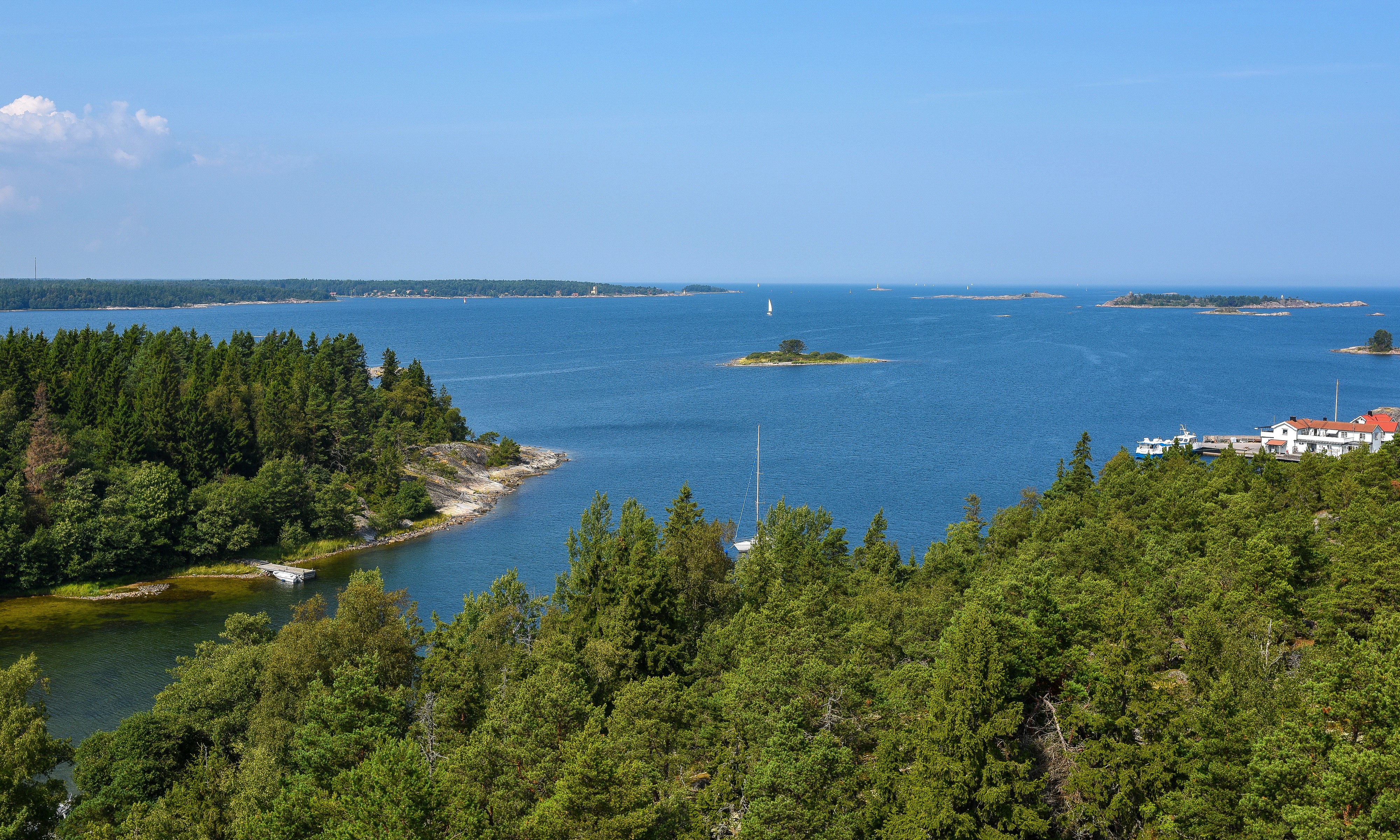 4K Scenery of Arholma Archipelago with Trees and Rivers HD Wallpaper