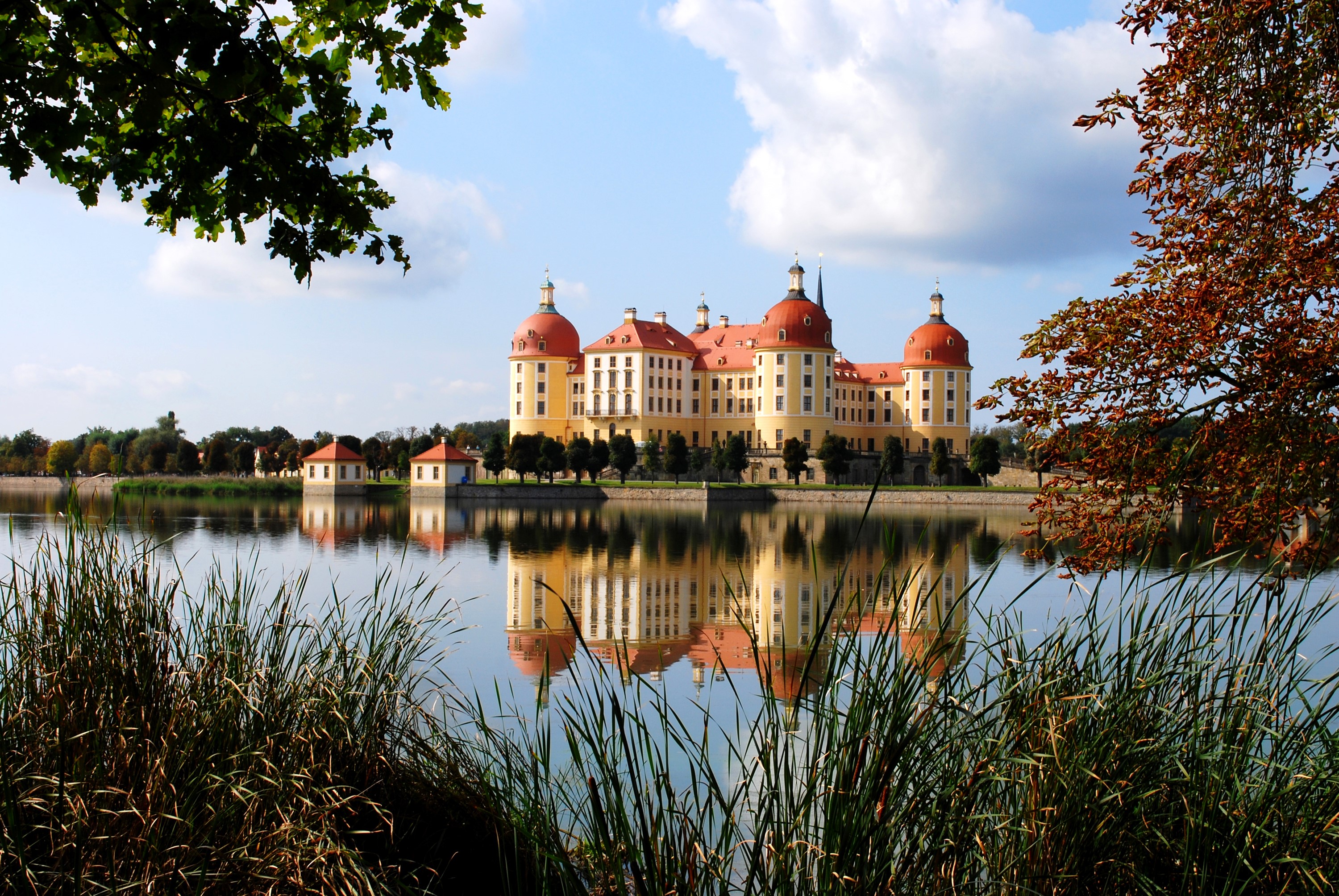 Moritzburg Castle reflected in a lake in Germany HD Wallpaper