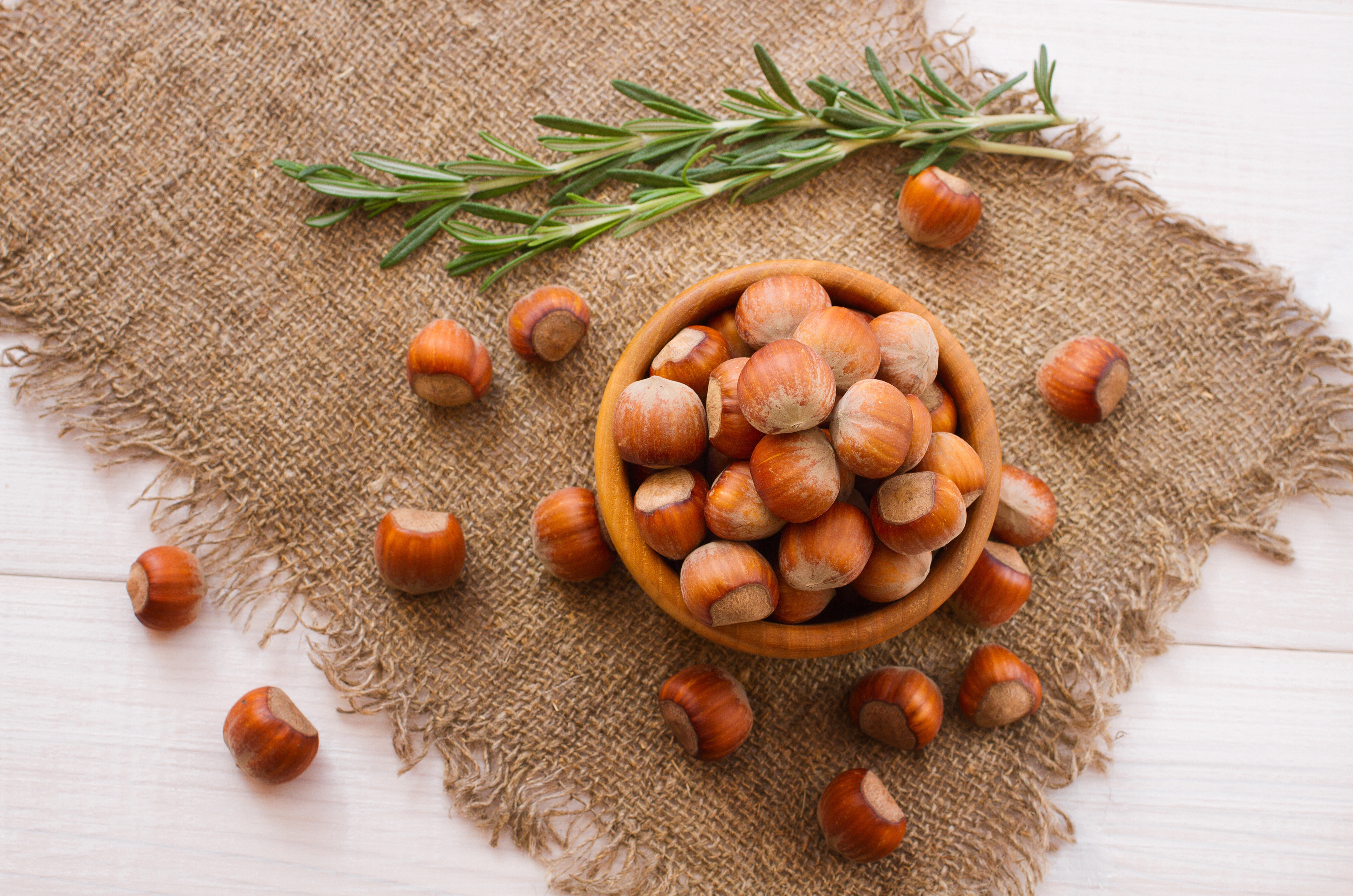 Hazelnuts in a bowl with rosemary HD Wallpaper
