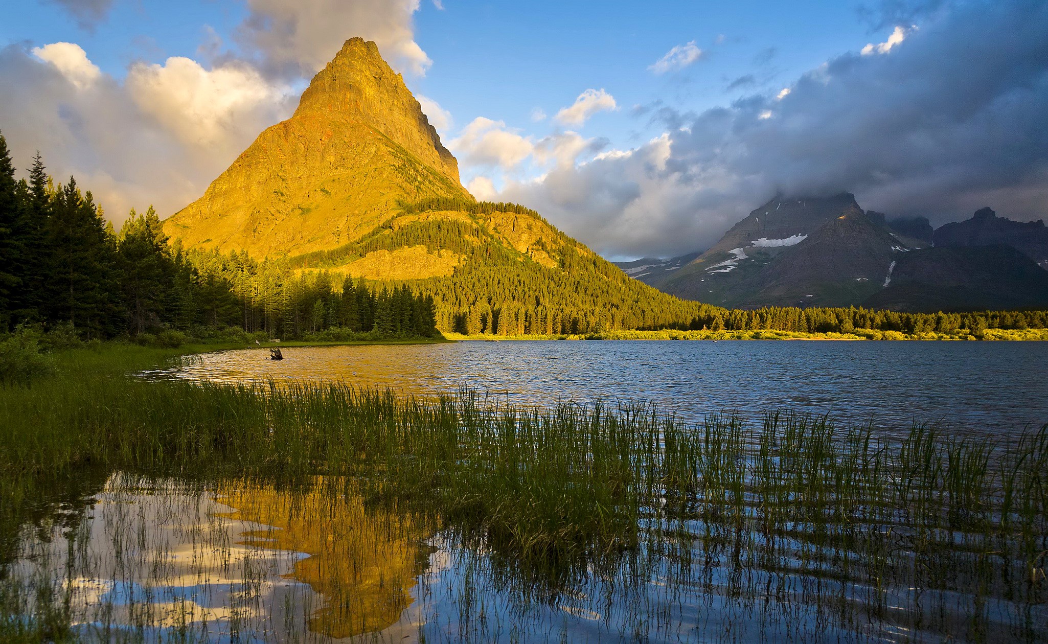 Golden Mountain Reflecting in a Lake with Pine Trees HD Wallpaper