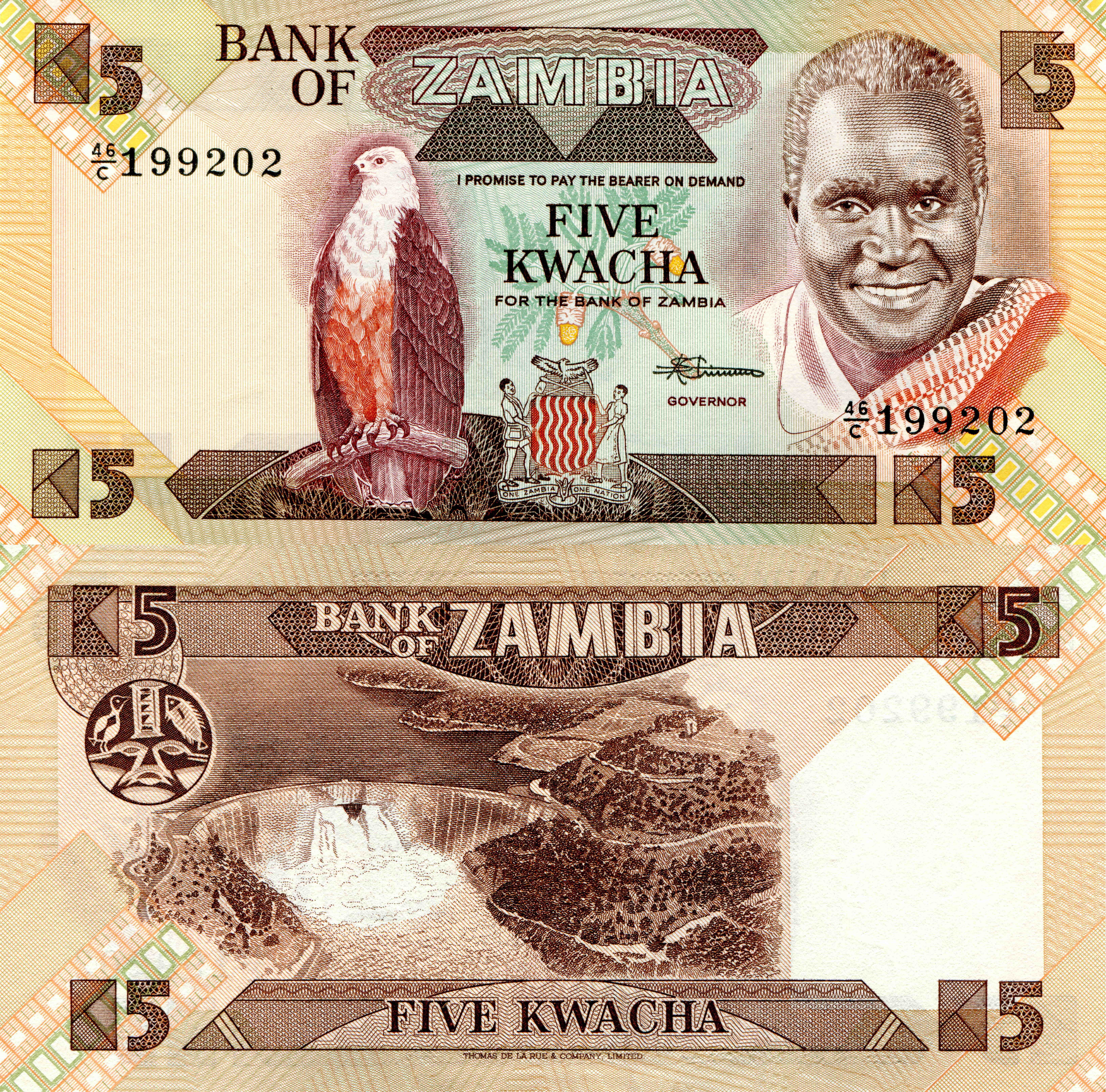 Bank of Zambia Five Kwacha banknote HD Wallpaper