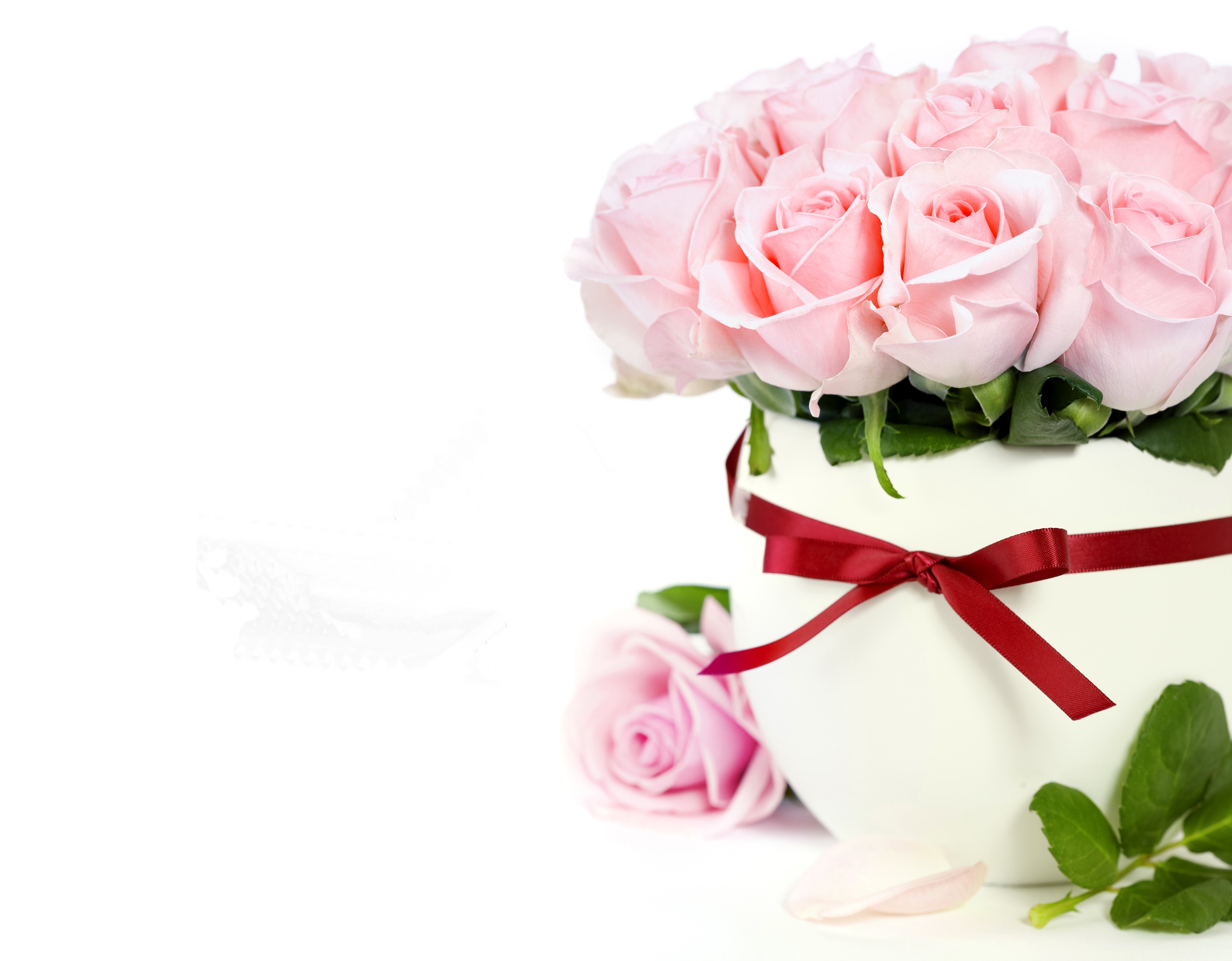 Pink roses in a vase with a red bow HD Wallpaper