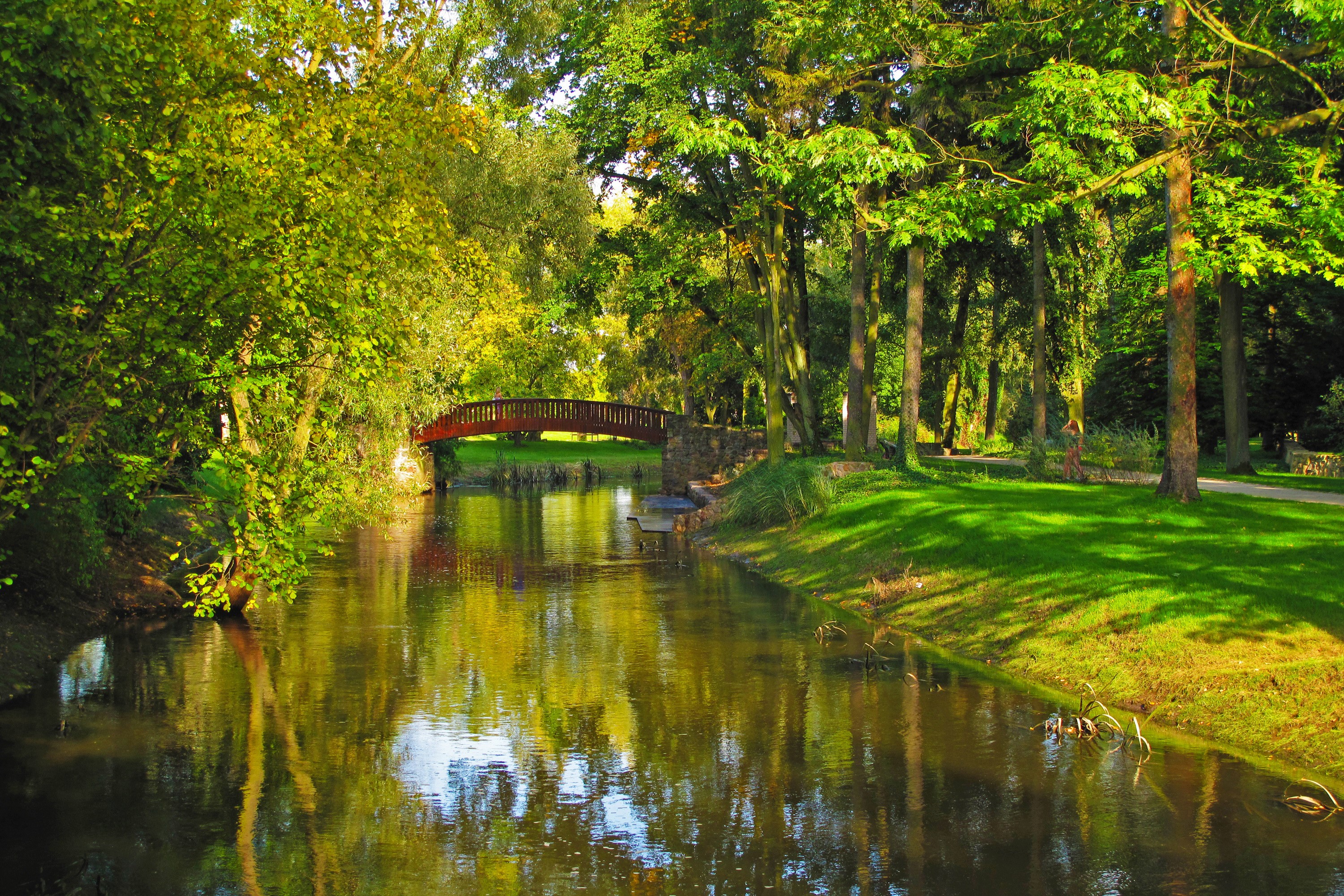 Park with a river and a red bridge in Sochaczew, Poland HD Wallpaper