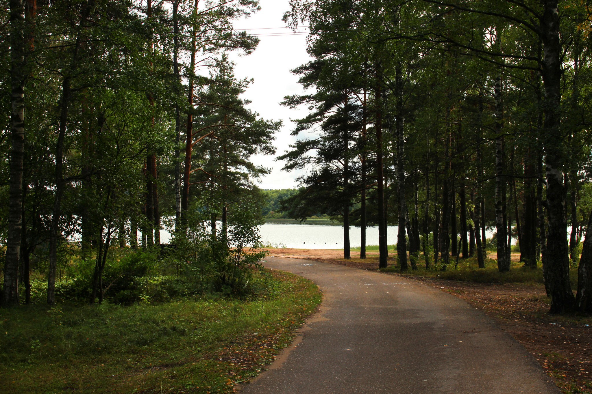 Road through a forest to a lake in Russia HD Wallpaper