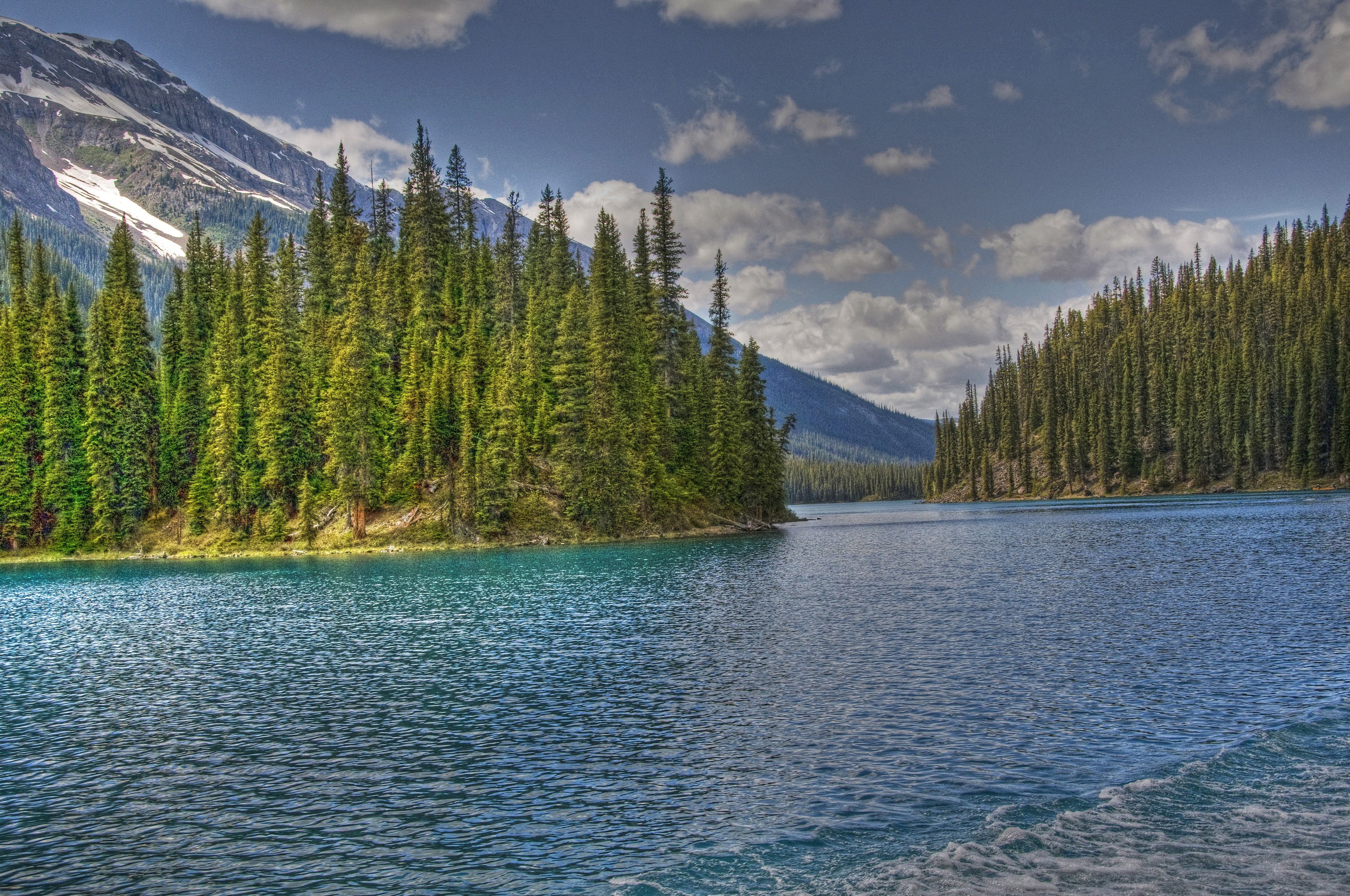 Maligne Lake in Jasper National Park with Mountains and Forests HD Wallpaper