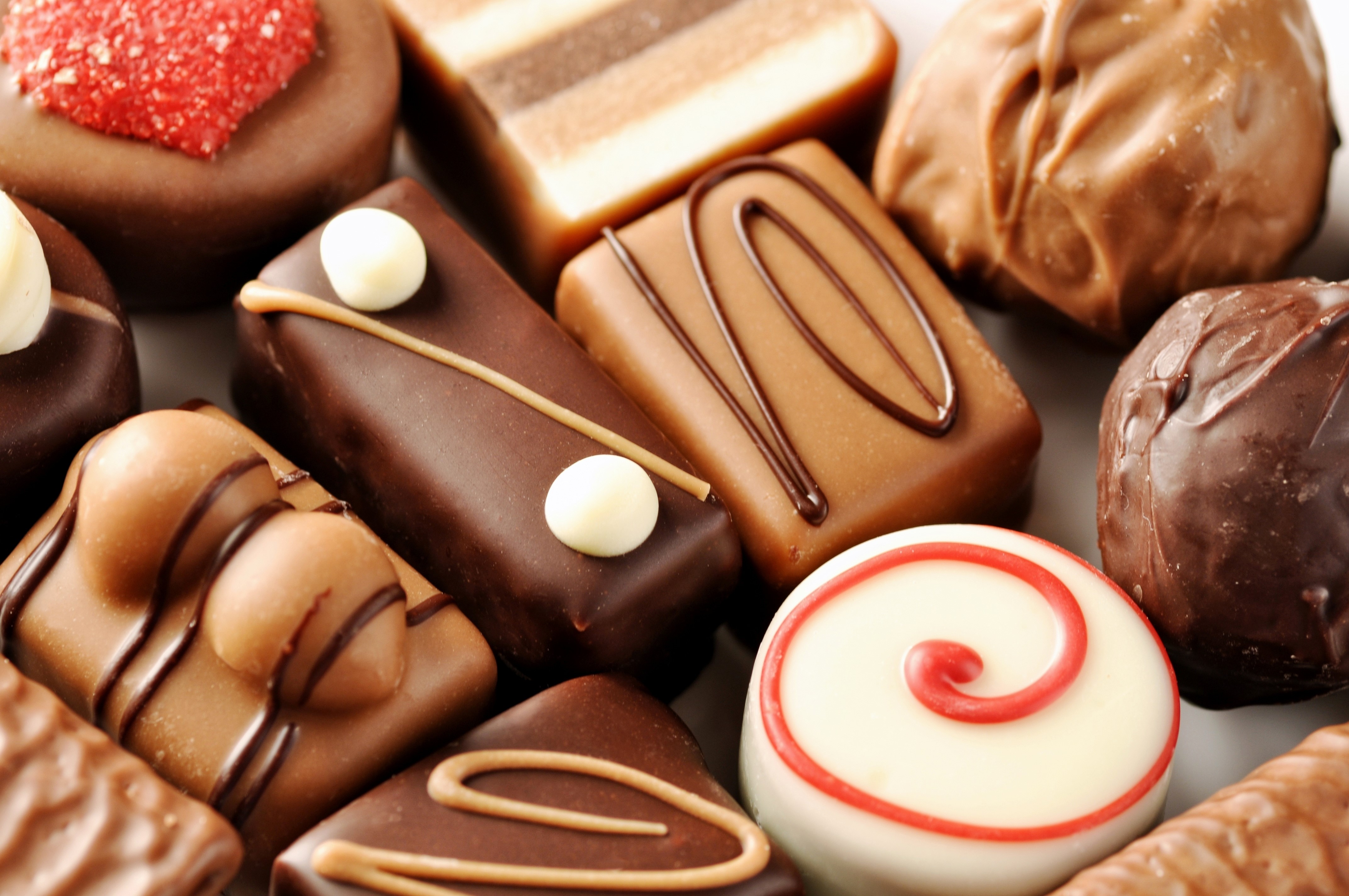 Assortment of gourmet chocolates and candies HD Wallpaper
