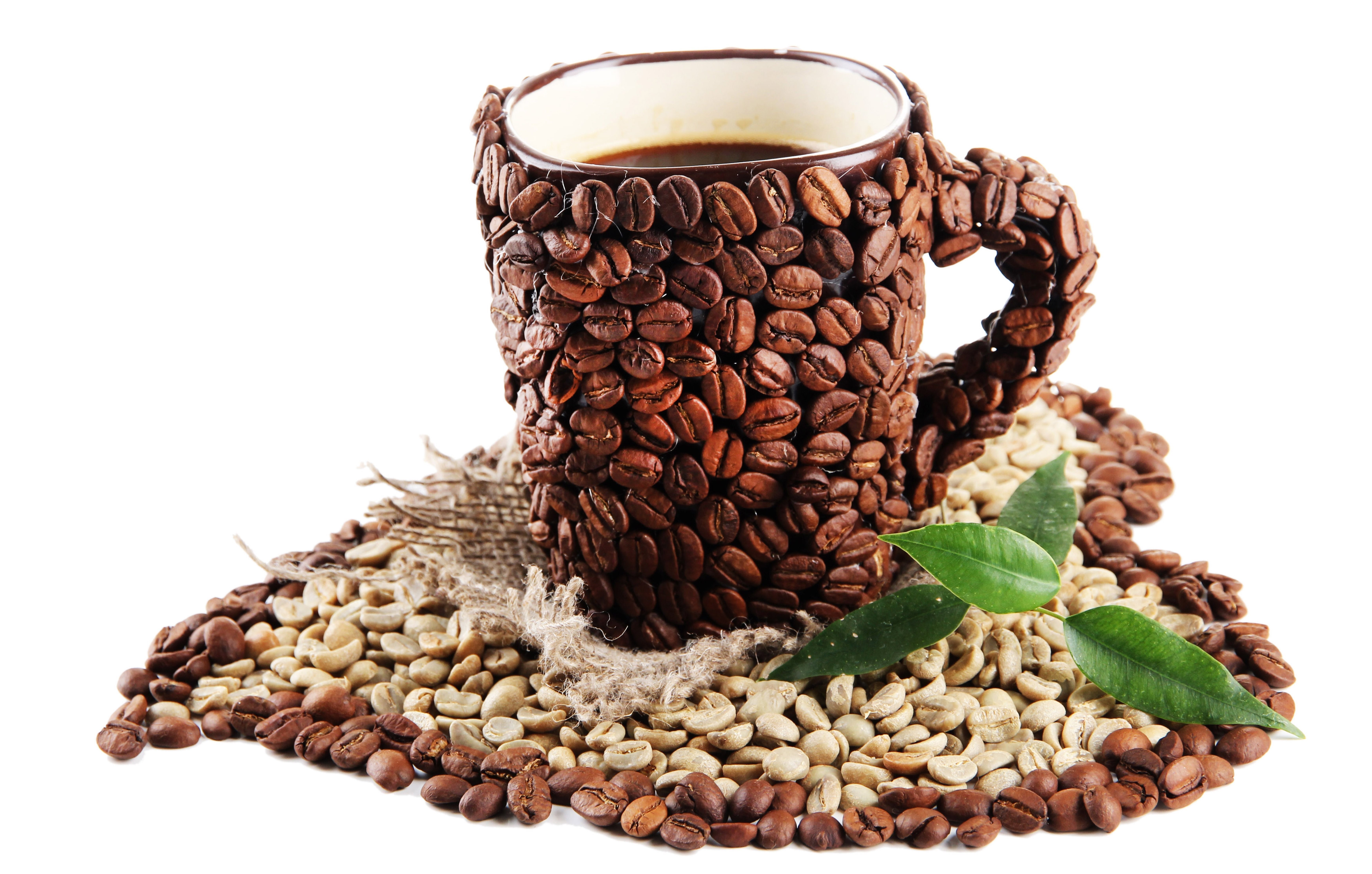 Coffee beans mug with coffee and leaves HD Wallpaper