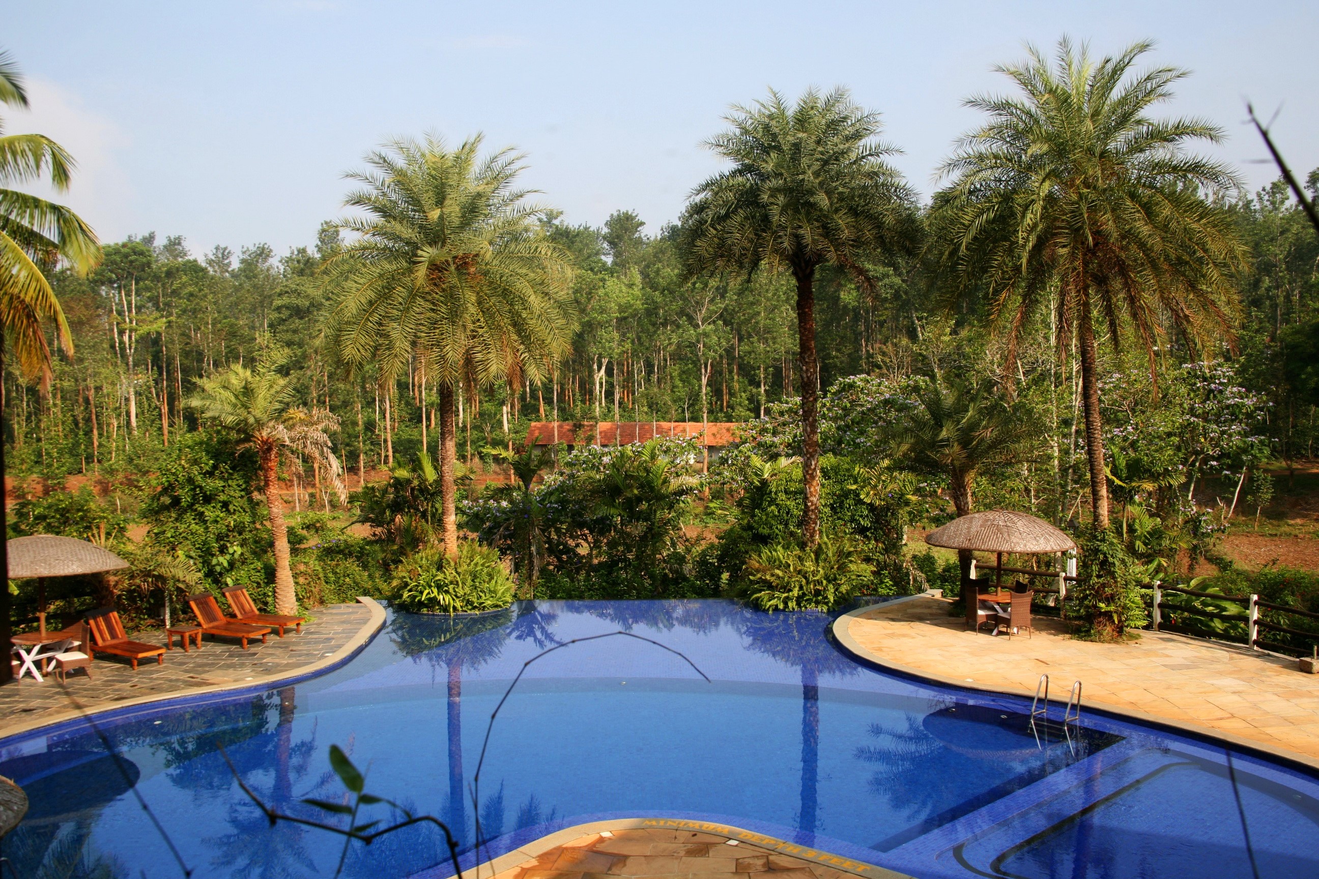 Resort with swimming pool and palm trees in India HD Wallpaper