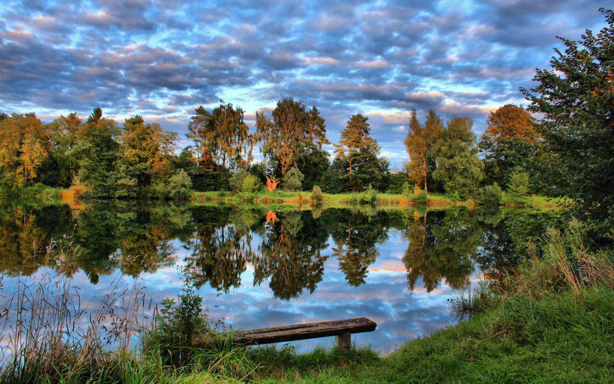 Lake with trees and clouds in Laupheim, Germany HD Wallpaper
