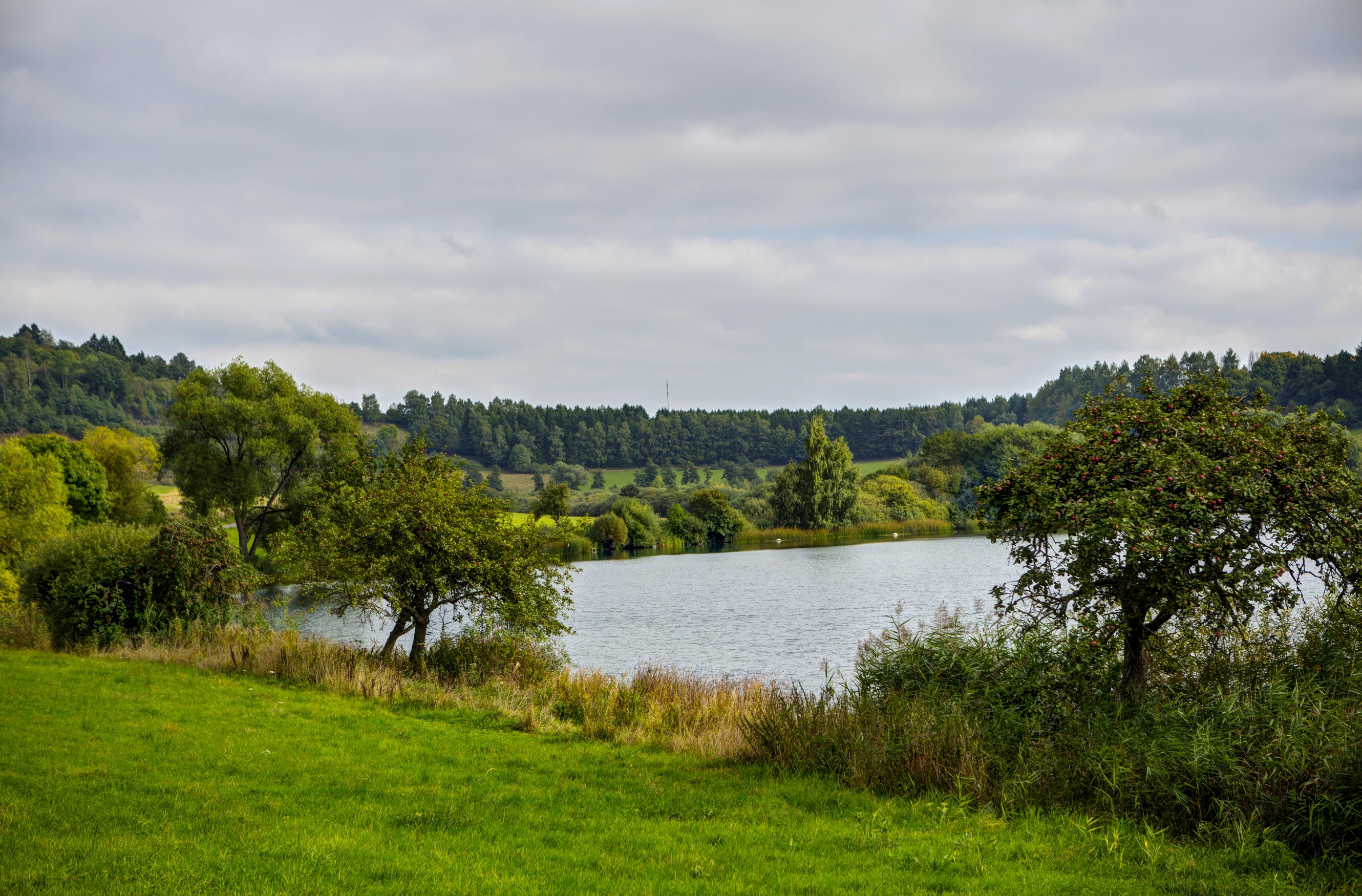 Lake and trees in Ellscheid, Germany HD Wallpaper