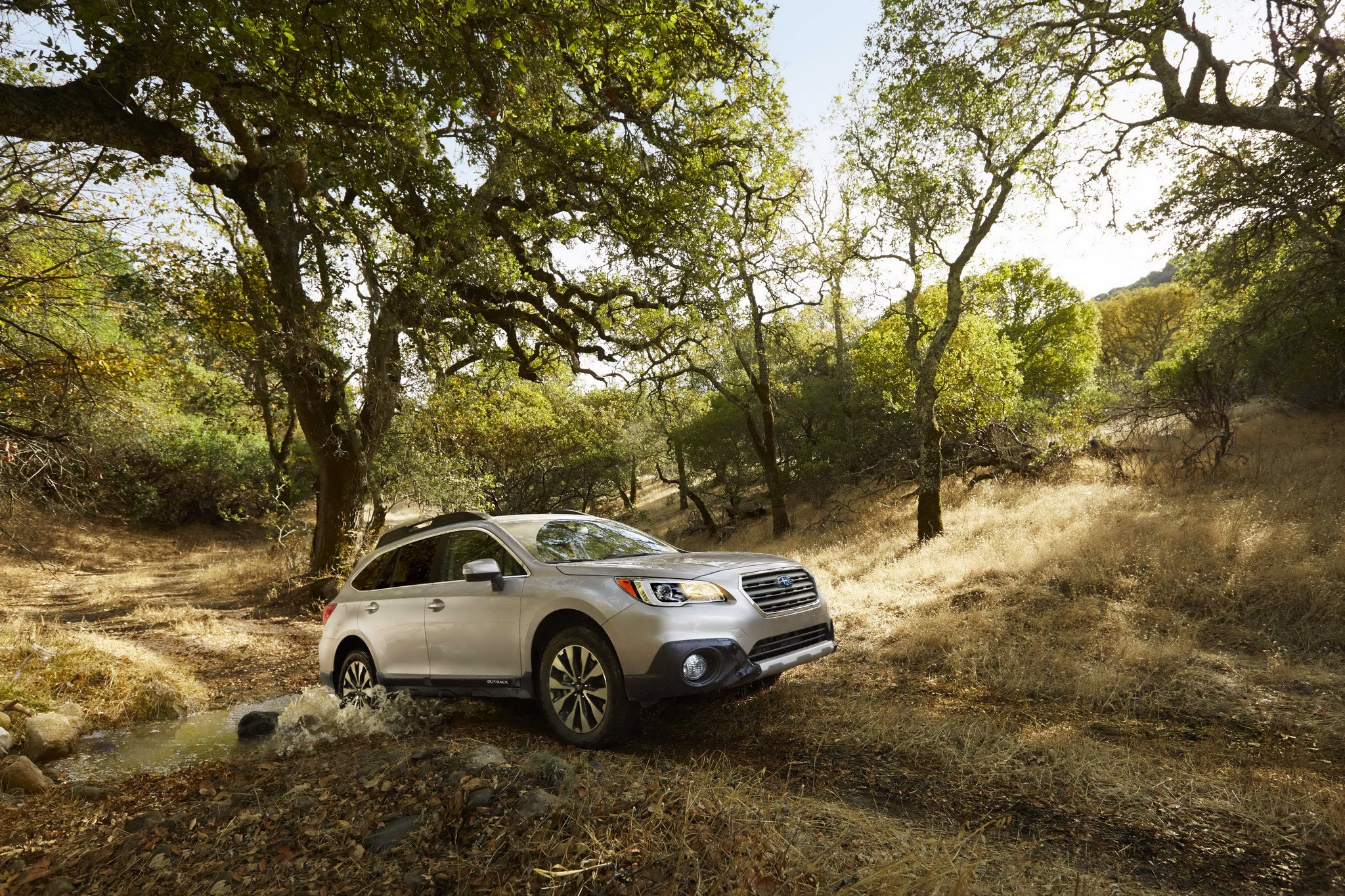 Silver Subaru Outback driving through a stream in a forest HD Wallpaper