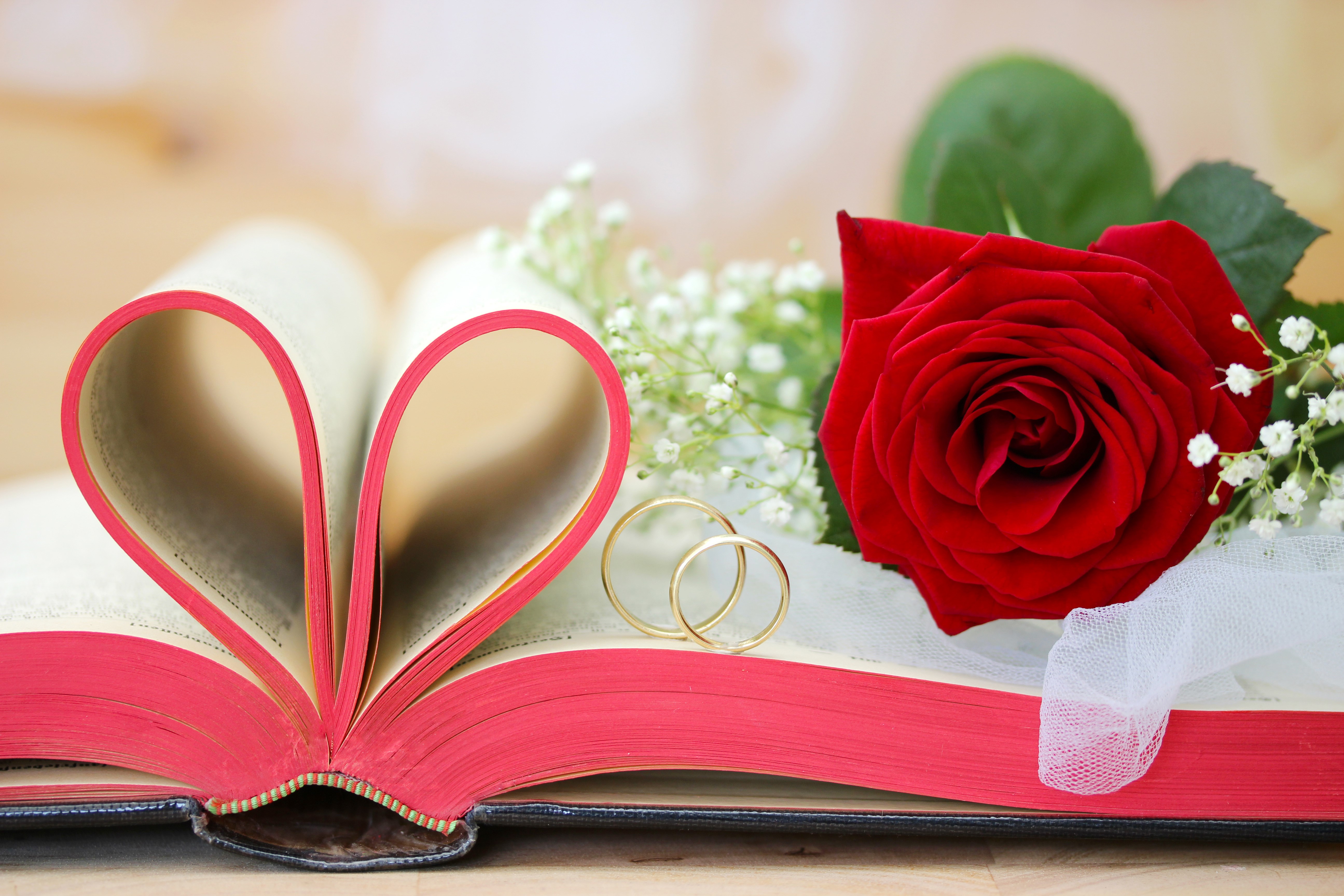 Wedding Rings on Book with Red Rose HD Wallpaper