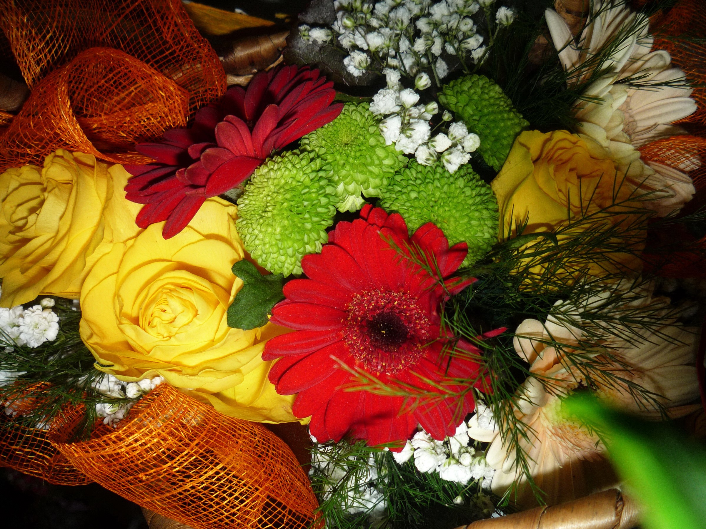 Bouquet of Gerberas, Chrysanthemums, and Roses HD Wallpaper