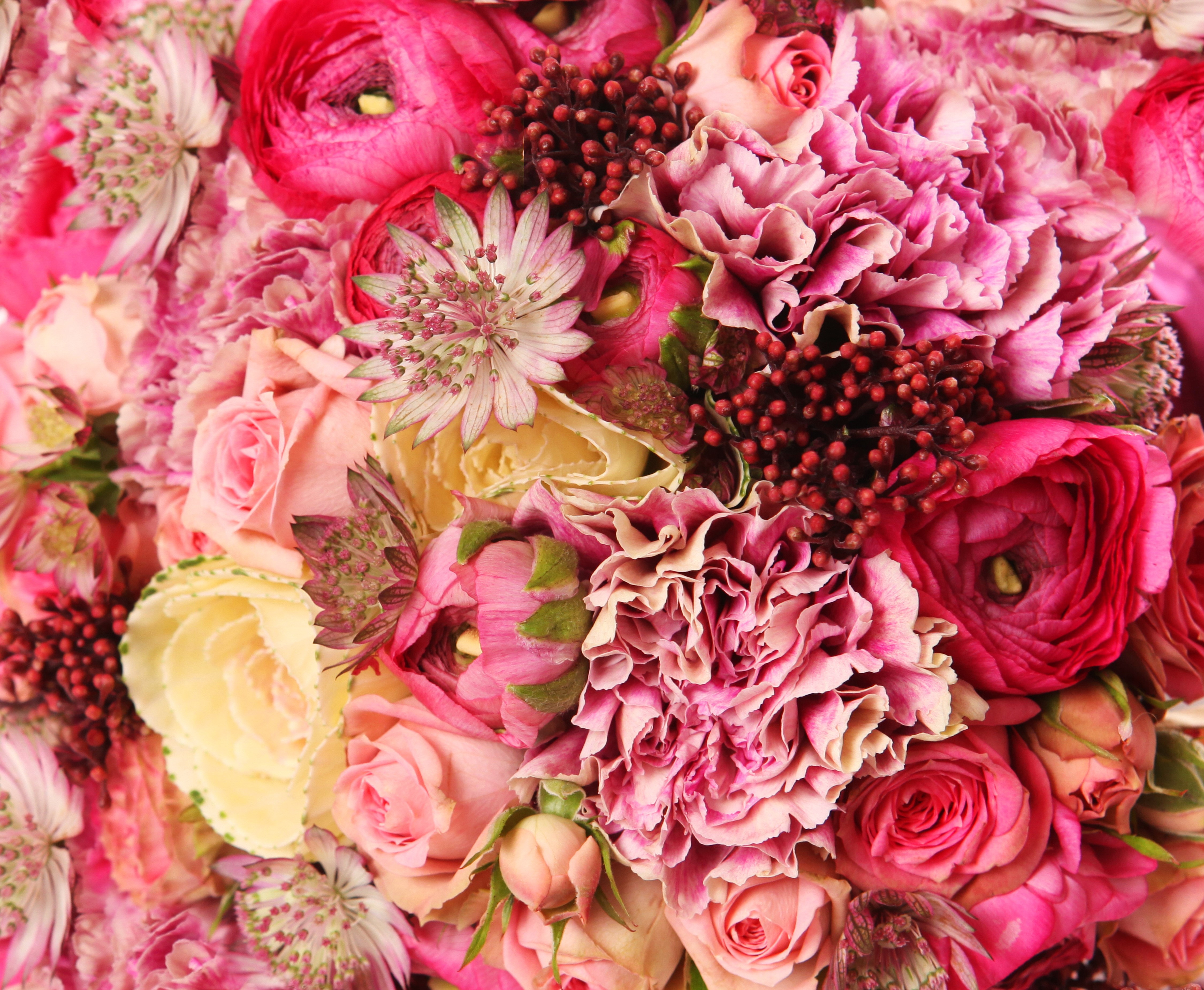 Pink and Red Roses and Ranunculus Bouquet HD Wallpaper