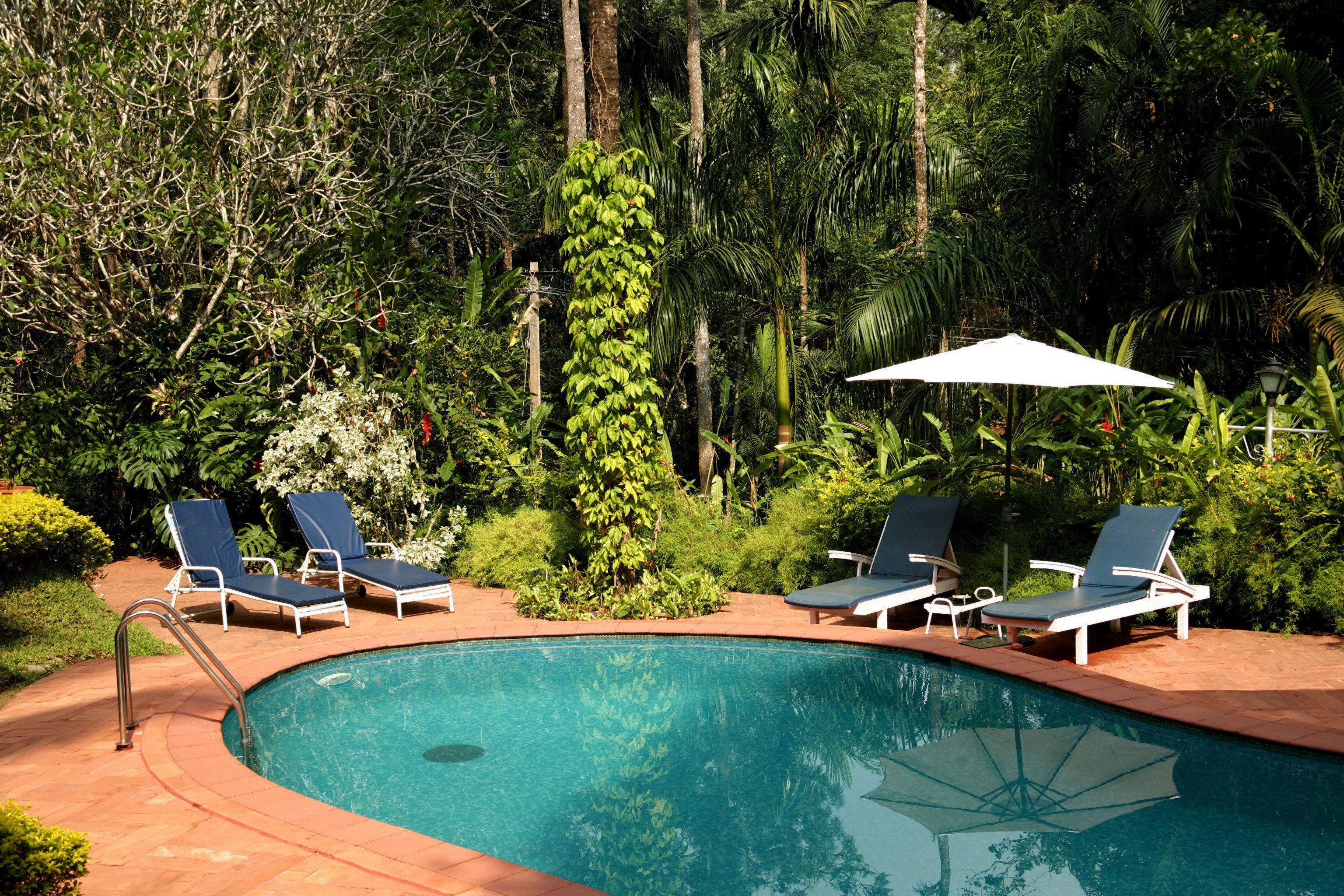 Swimming pool with lounge chairs and umbrella in a tropical garden HD Wallpaper