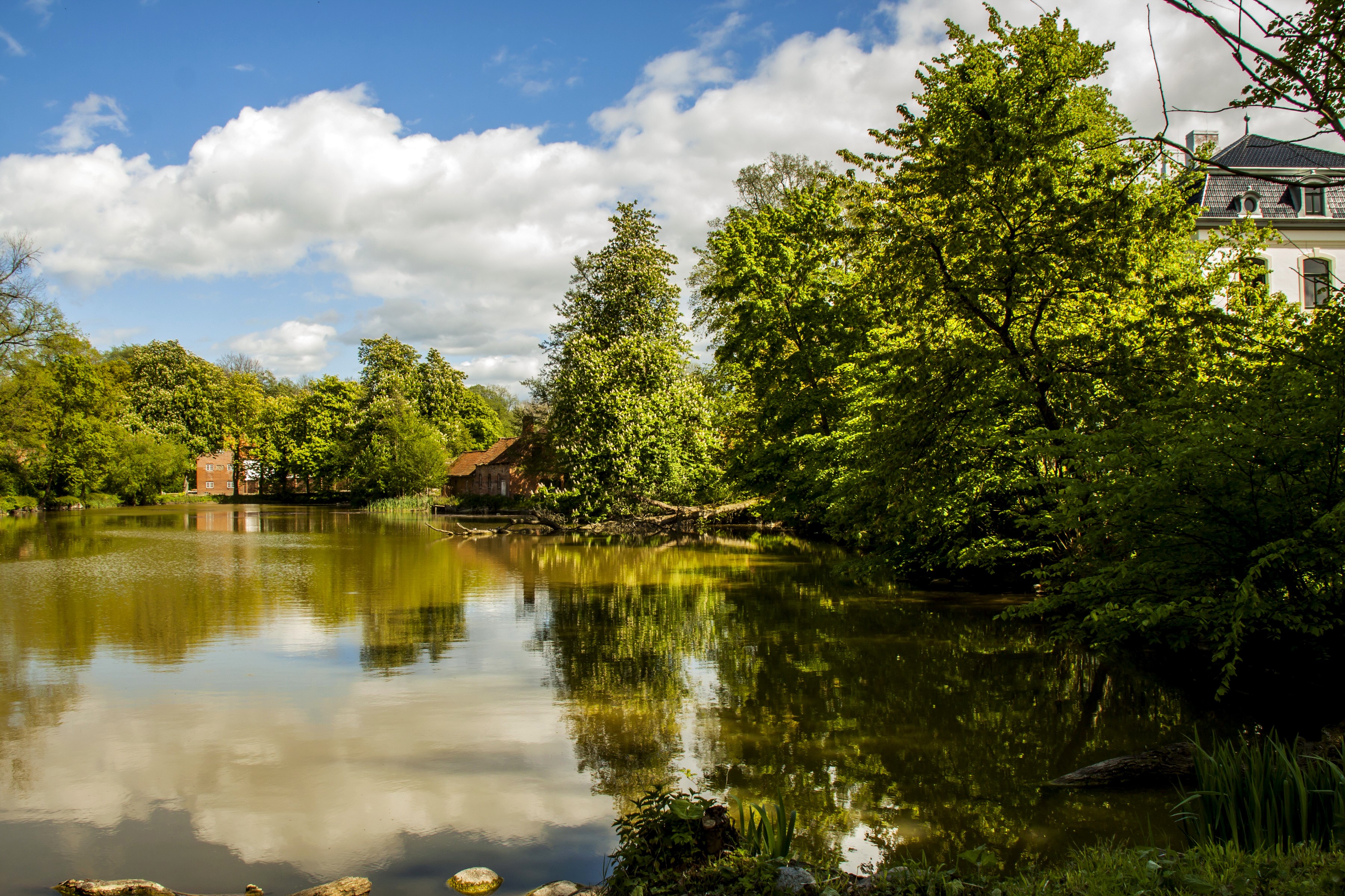 Lake with trees and buildings in Wangels, Germany HD Wallpaper