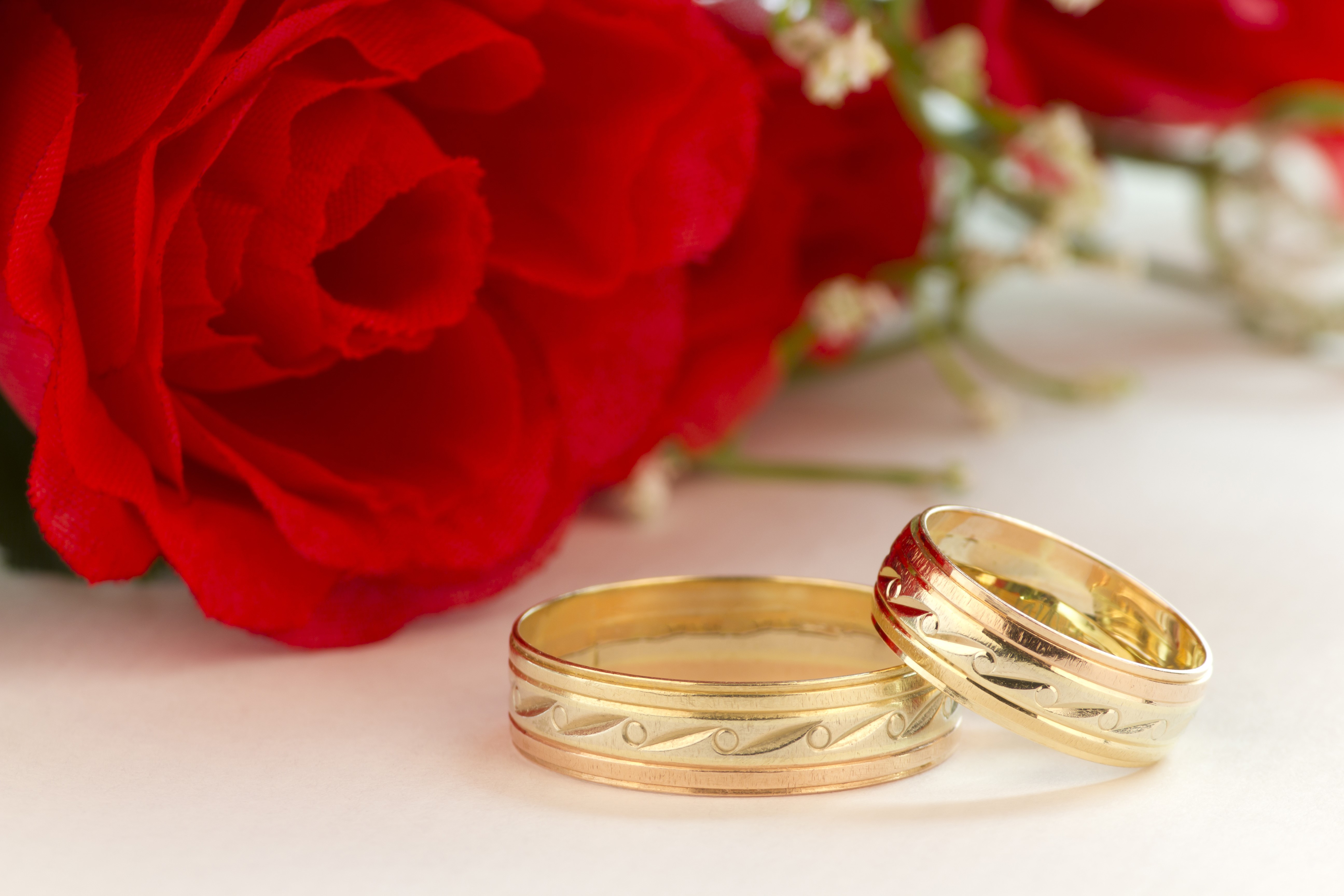 Wedding Rings with Red Rose HD Wallpaper