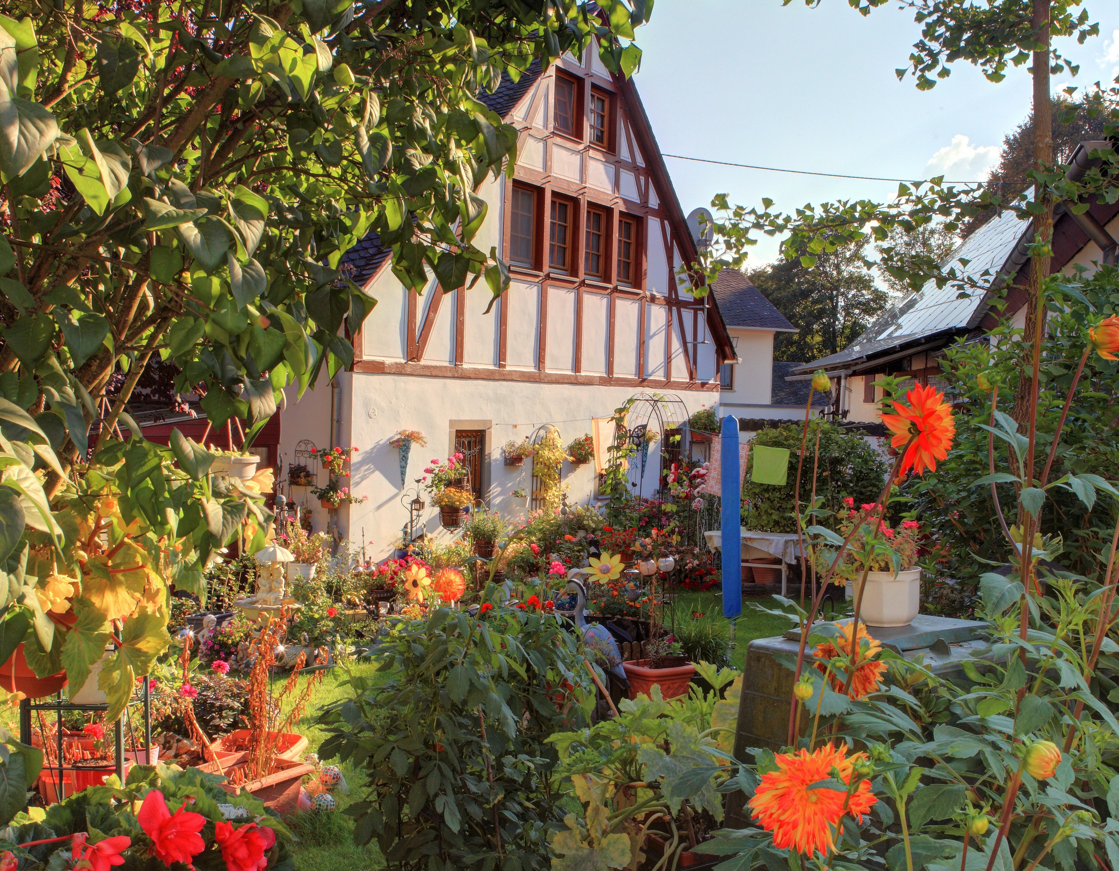 Half-timbered houses and a garden full of dahlias in Landkern, Germany HD Wallpaper