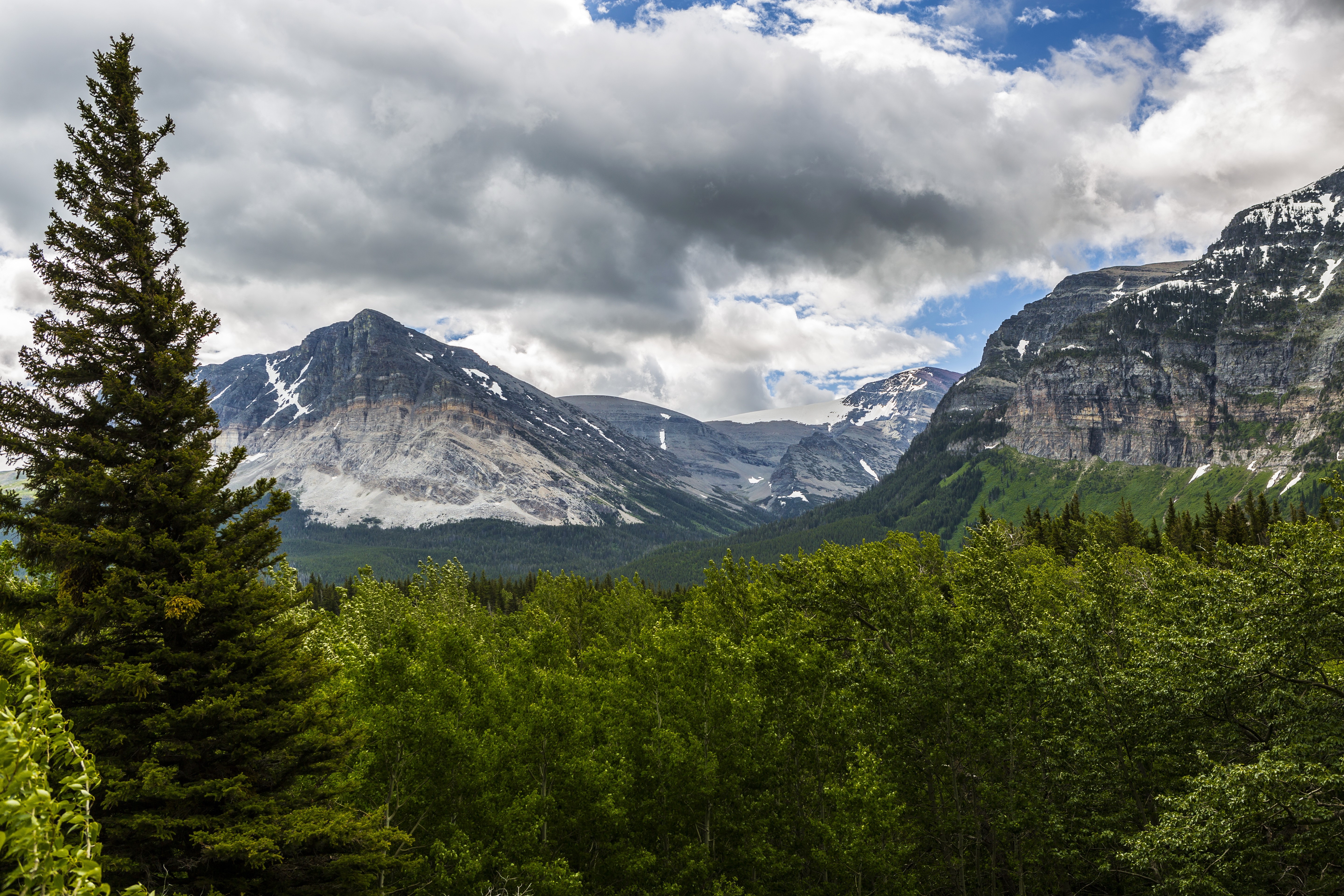 Mountains and Forests in Glacier National Park, USA HD Wallpaper