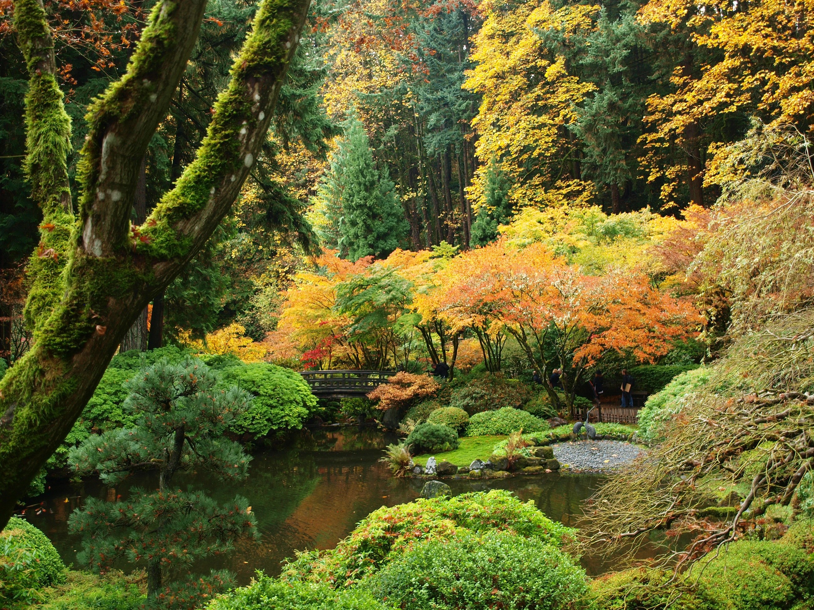 Portland Japanese Gardens in Autumn HD Wallpaper