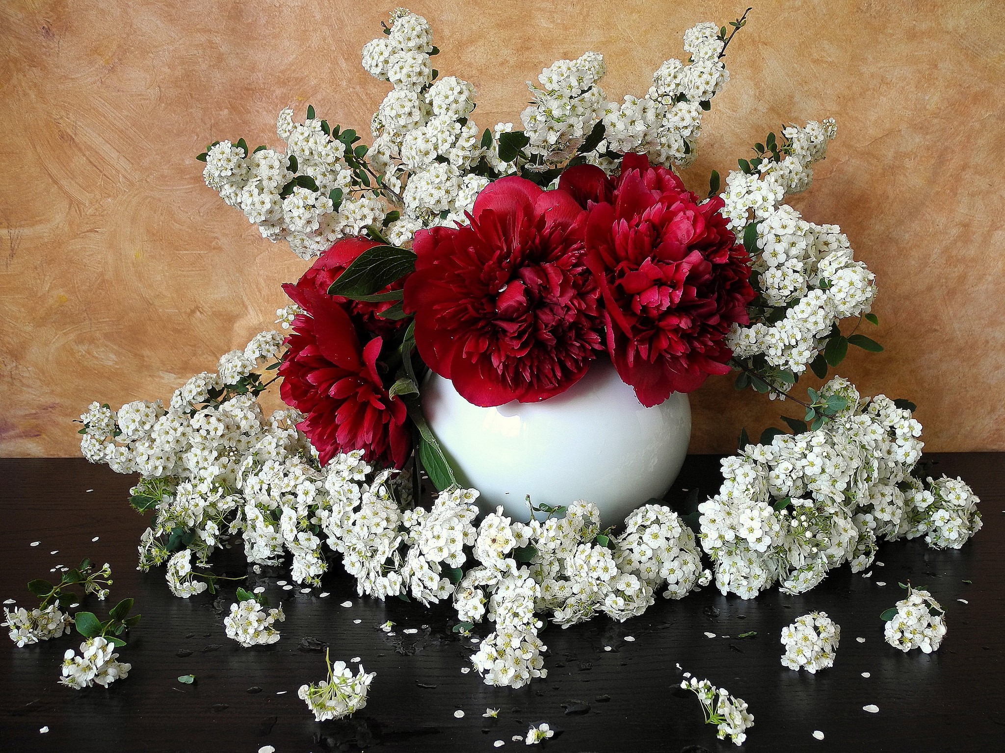 Red Peonies and White Spirea in a Vase HD Wallpaper