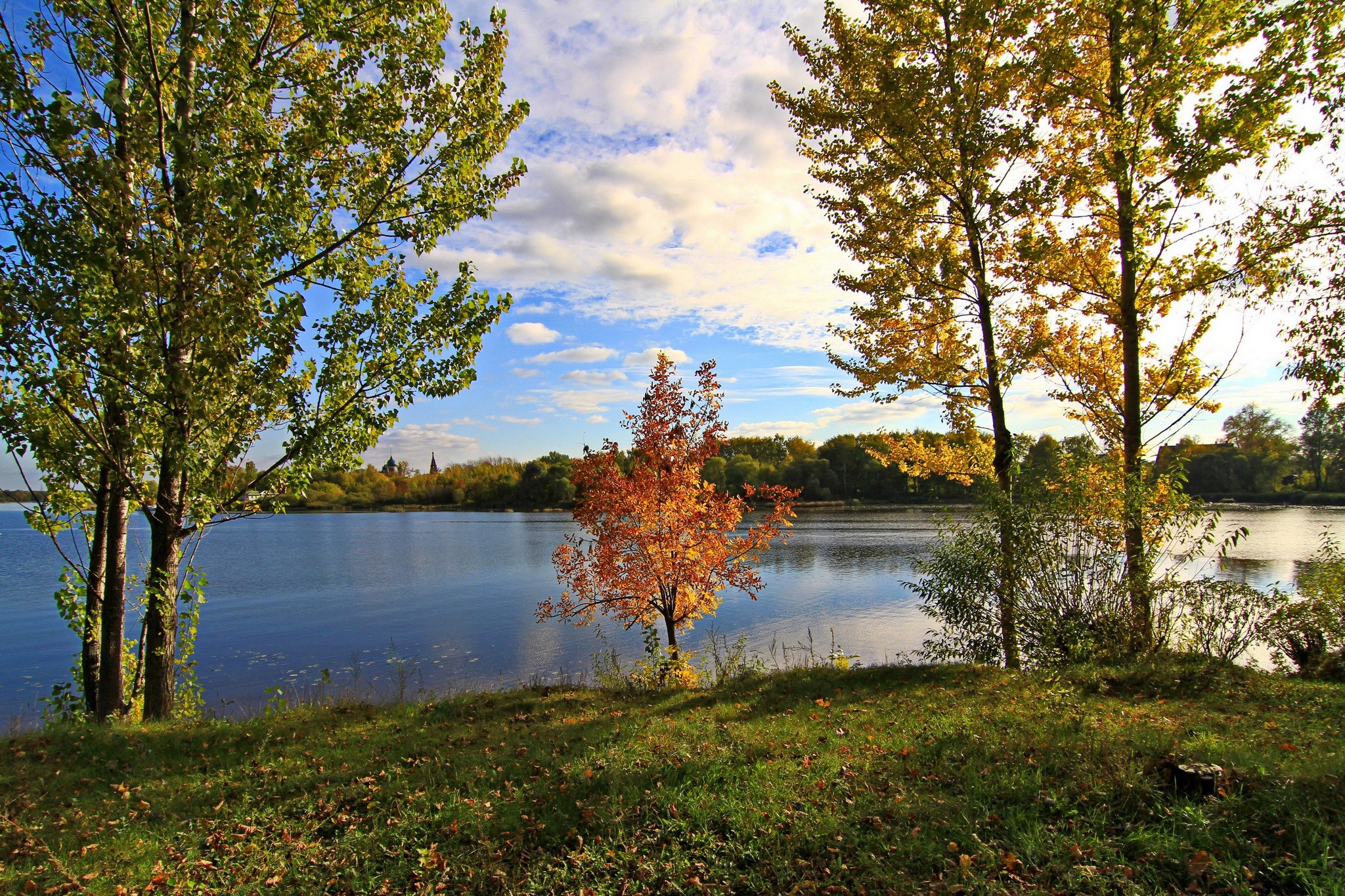 Autumn trees by the river in Russia HD Wallpaper