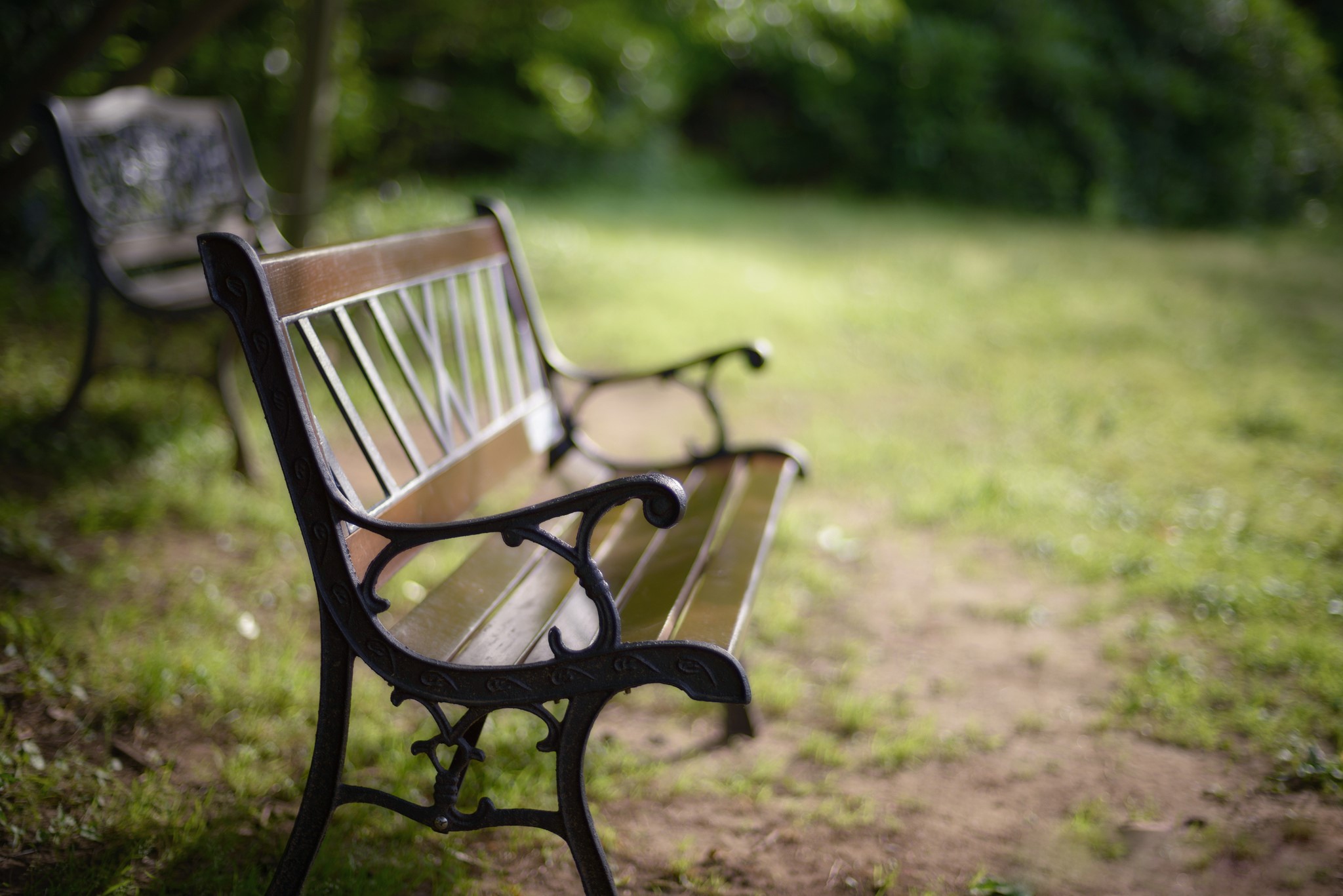 Two park benches in a grassy area HD Wallpaper