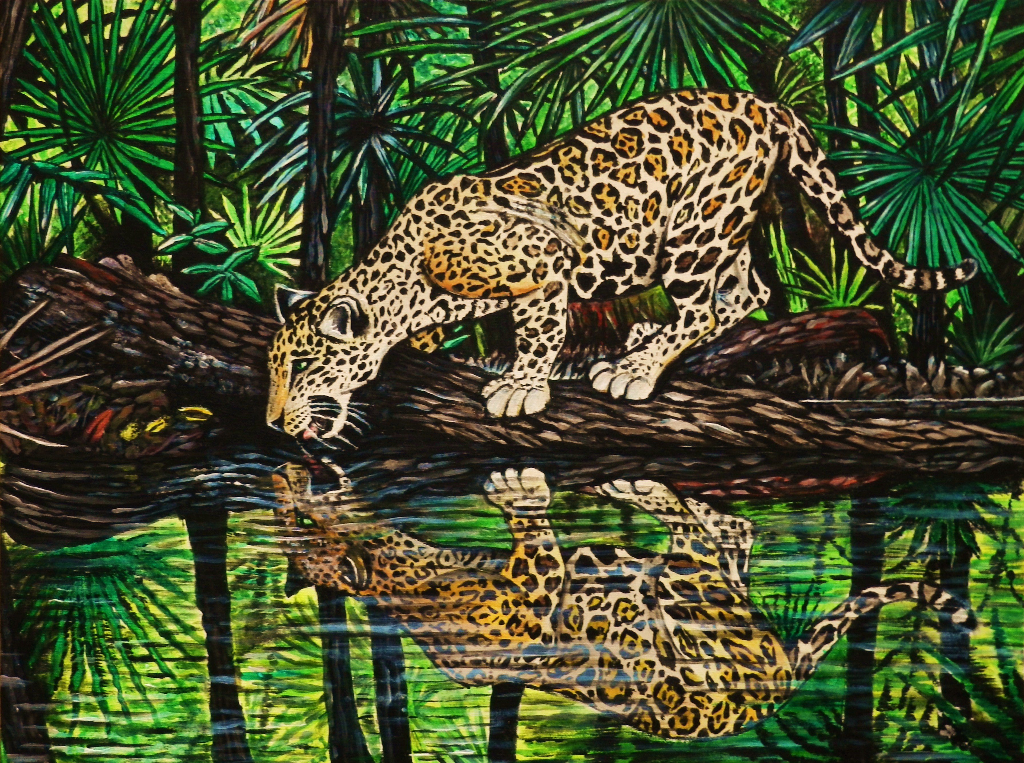 Jaguar drinking water in a jungle HD Wallpaper
