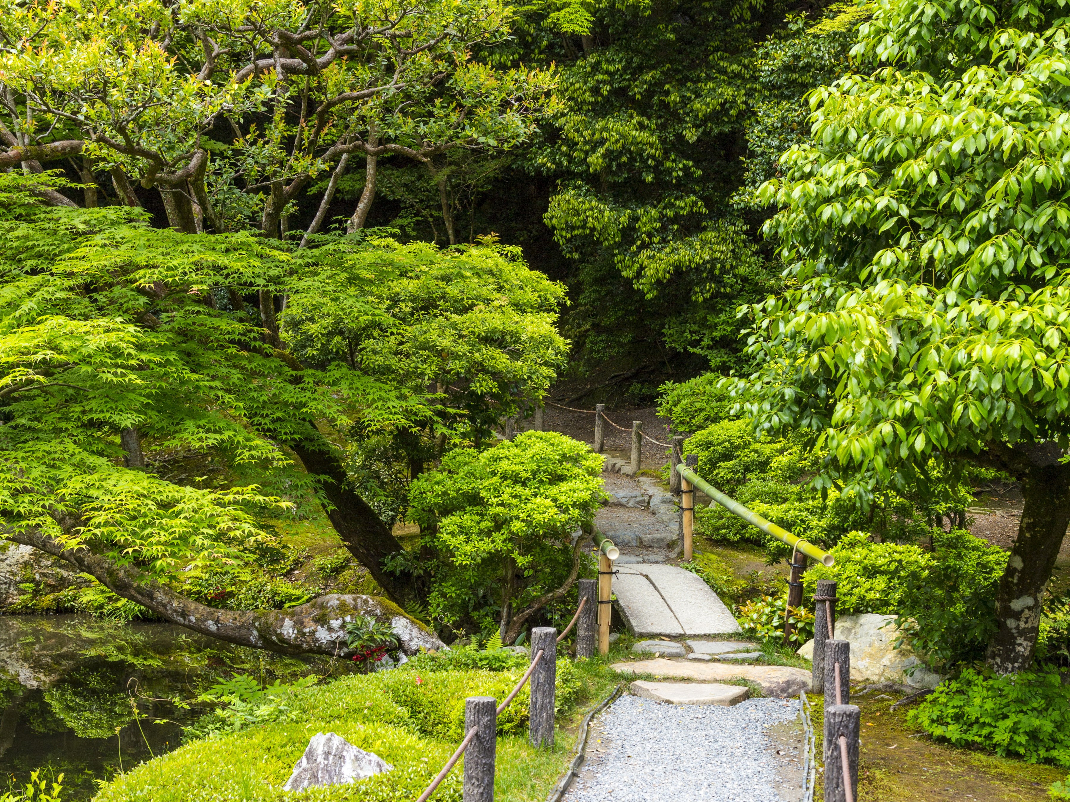 Stone bridge and path in a lush Japanese garden HD Wallpaper