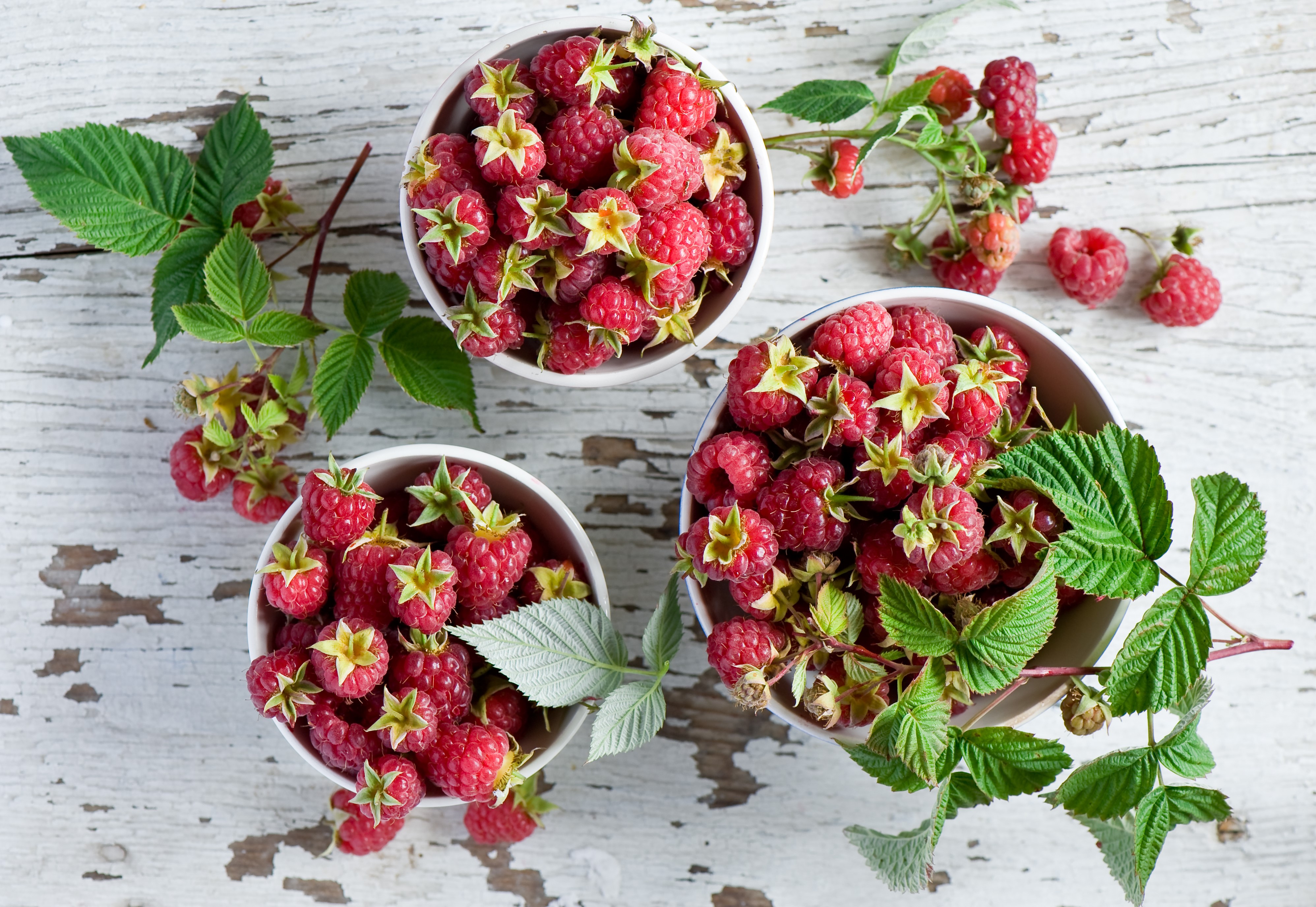 Raspberries in bowls HD Wallpaper