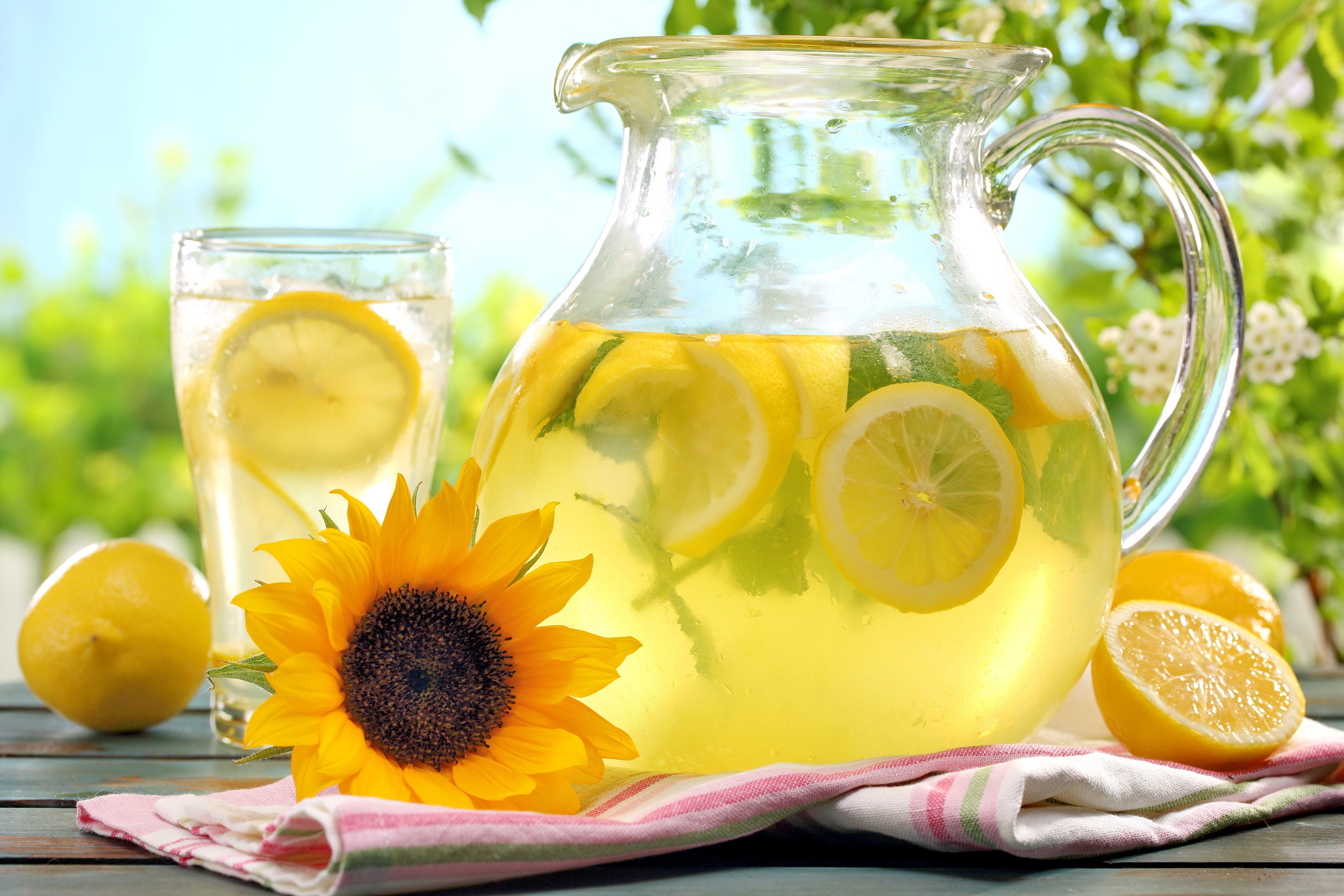 Lemonade in a pitcher with lemons and a sunflower HD Wallpaper
