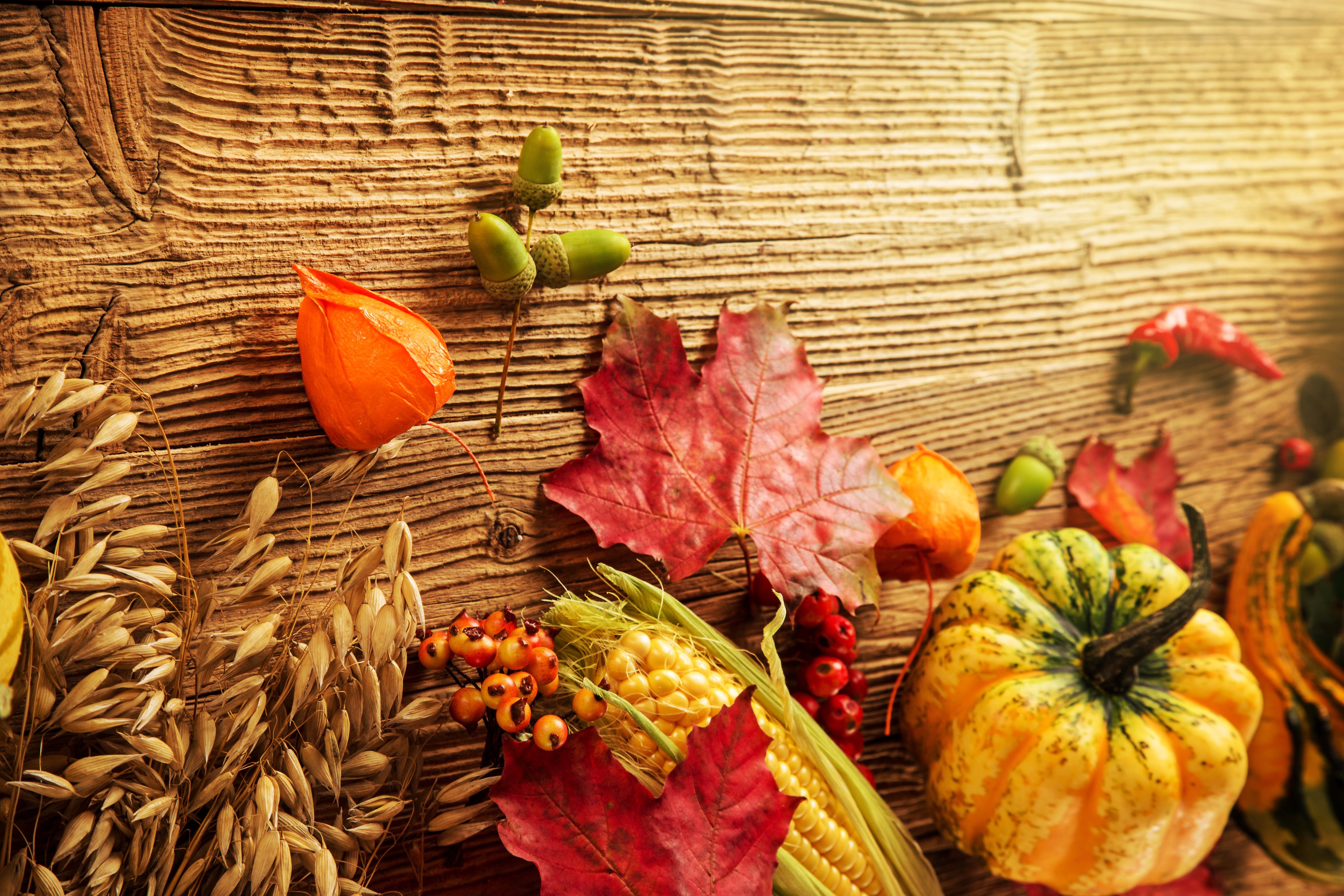 Autumn Harvest Display with Pumpkins, Corn, and Leaves HD Wallpaper