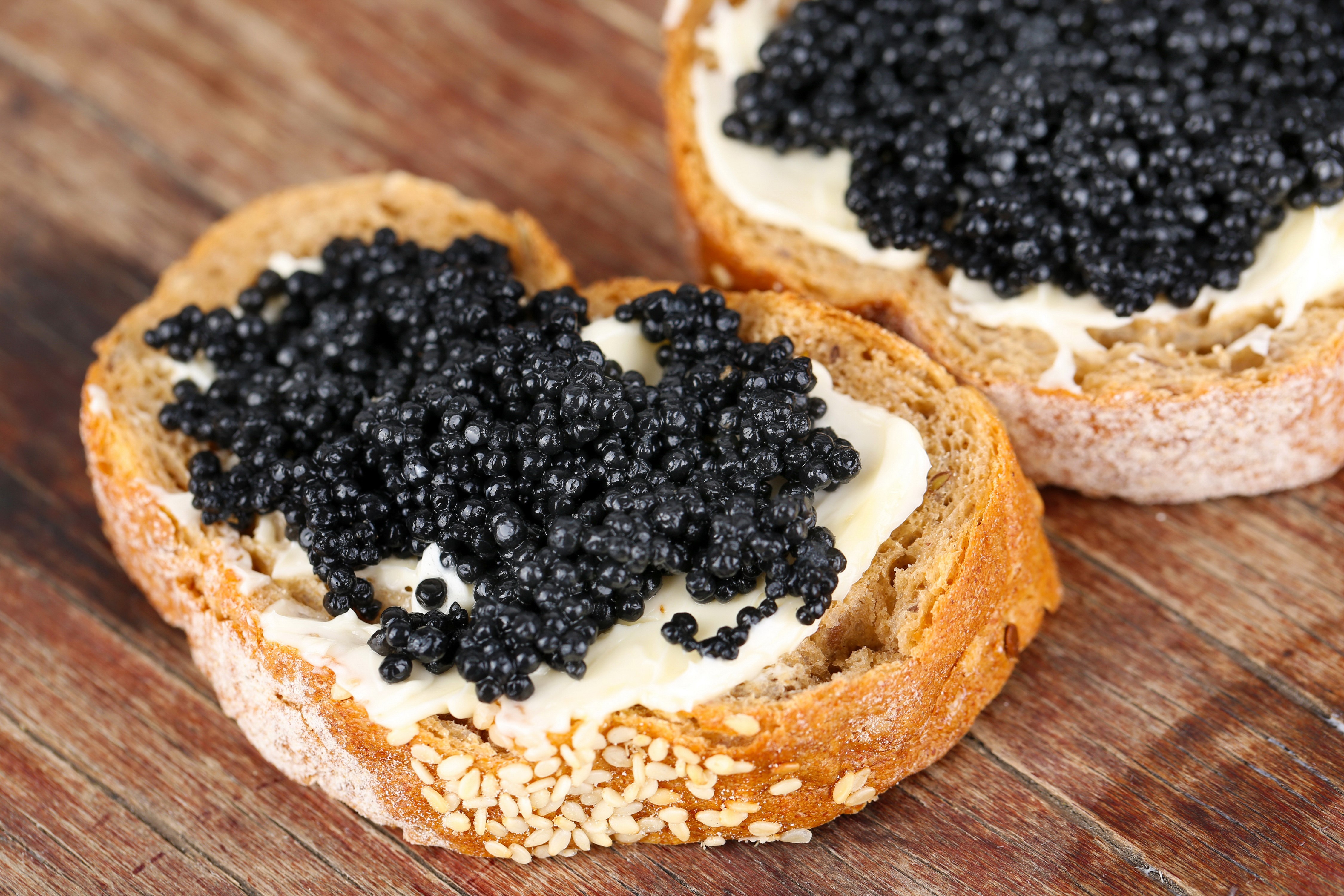 Caviar on buttered bread with sesame seeds HD Wallpaper
