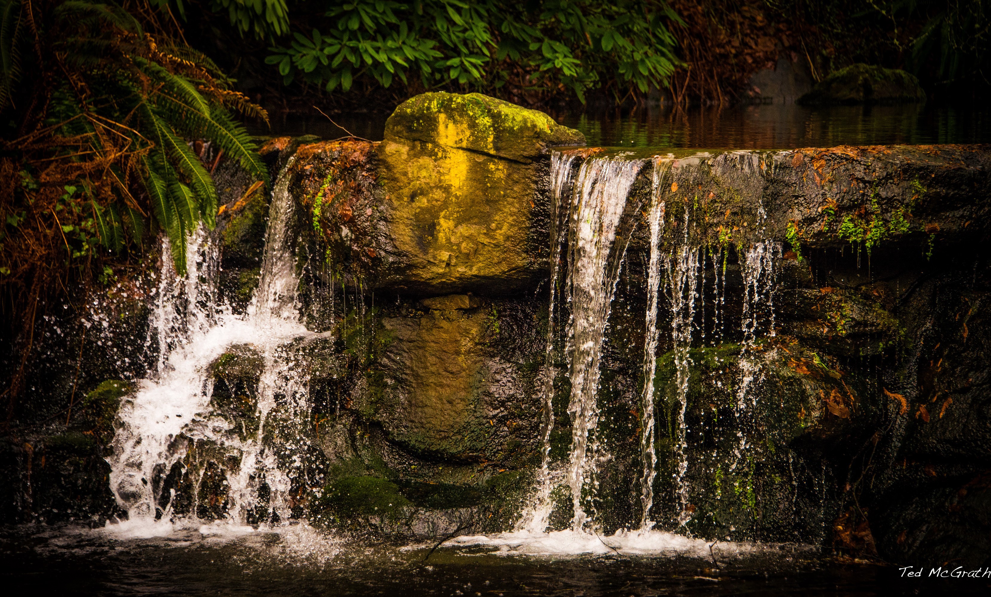 Waterfall in Stanley Park, Vancouver, Canada HD Wallpaper