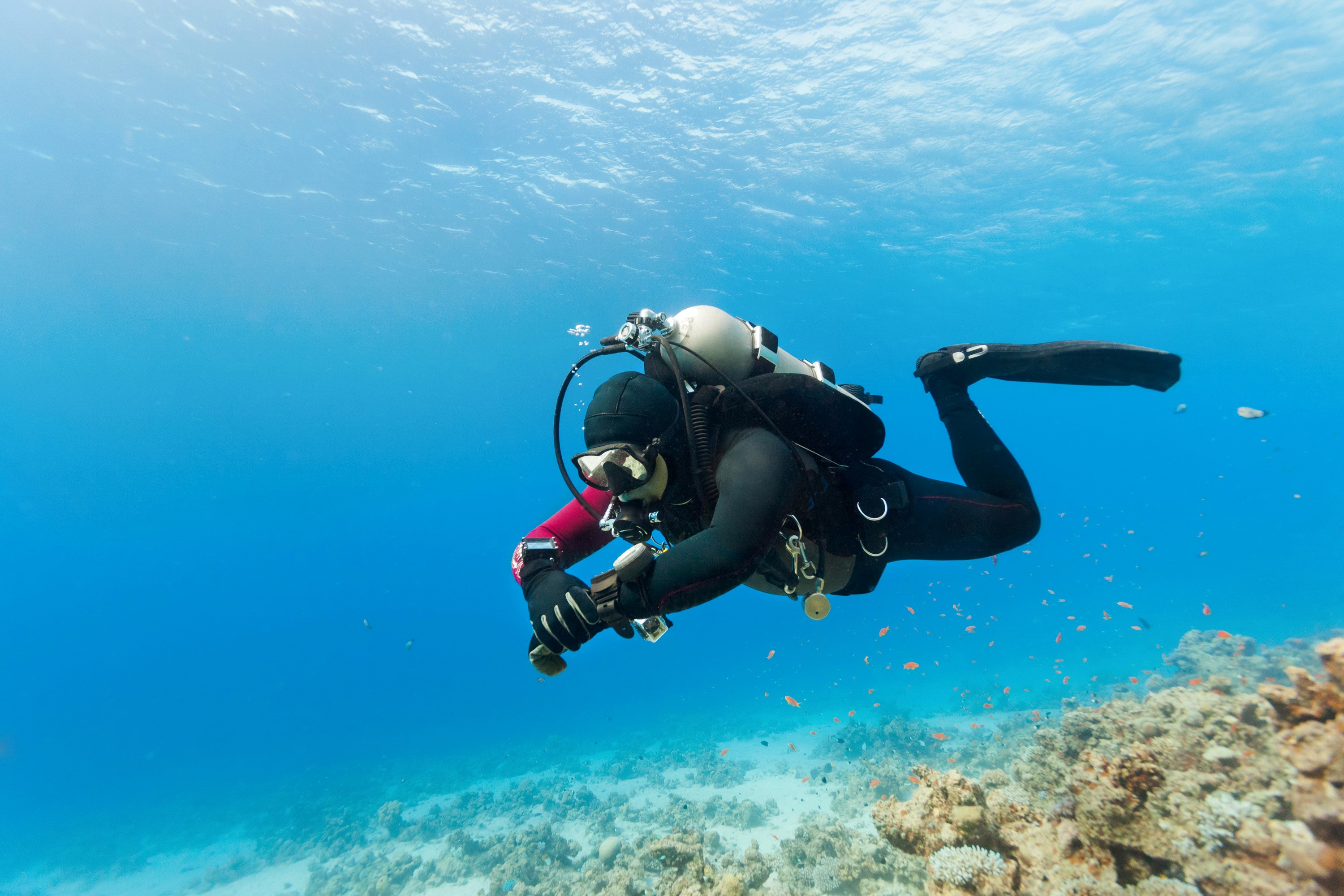 Scuba diver exploring a coral reef underwater HD Wallpaper