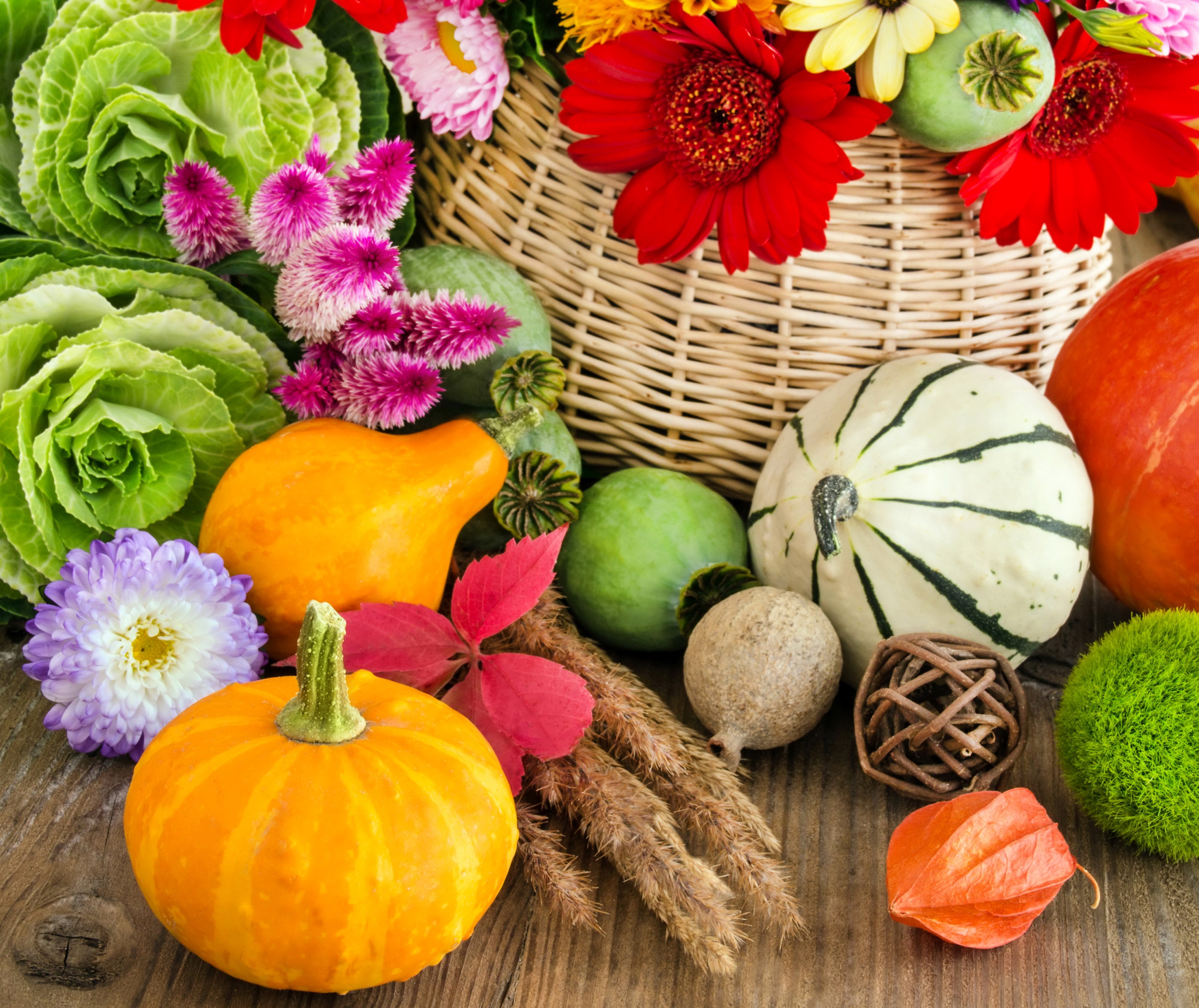 Autumn harvest arrangement with pumpkins and flowers HD Wallpaper