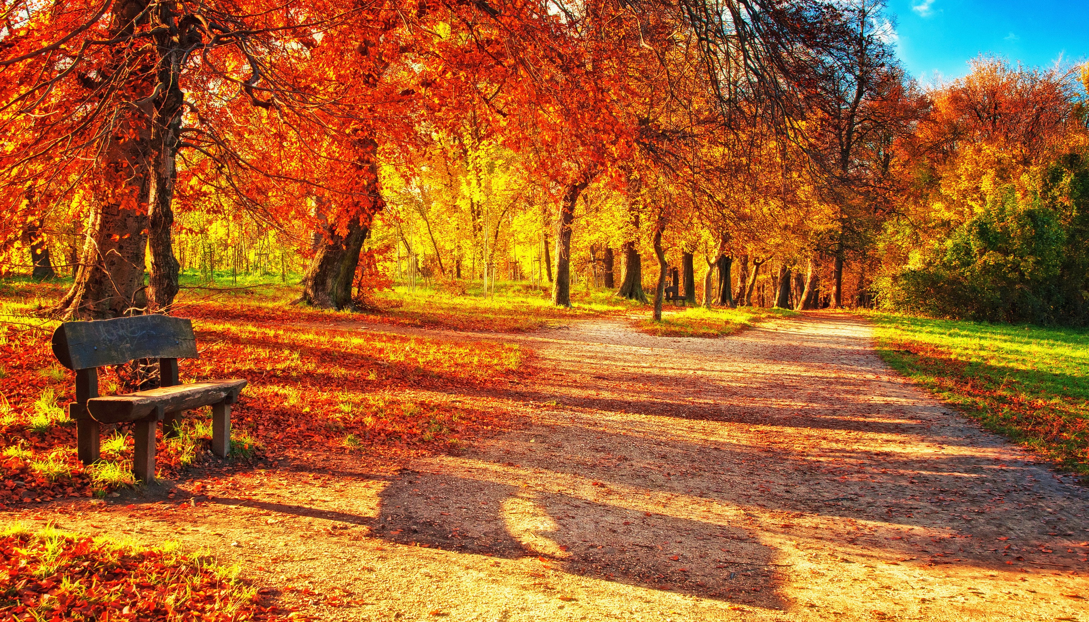 Autumn park with a bench and colorful foliage HD Wallpaper