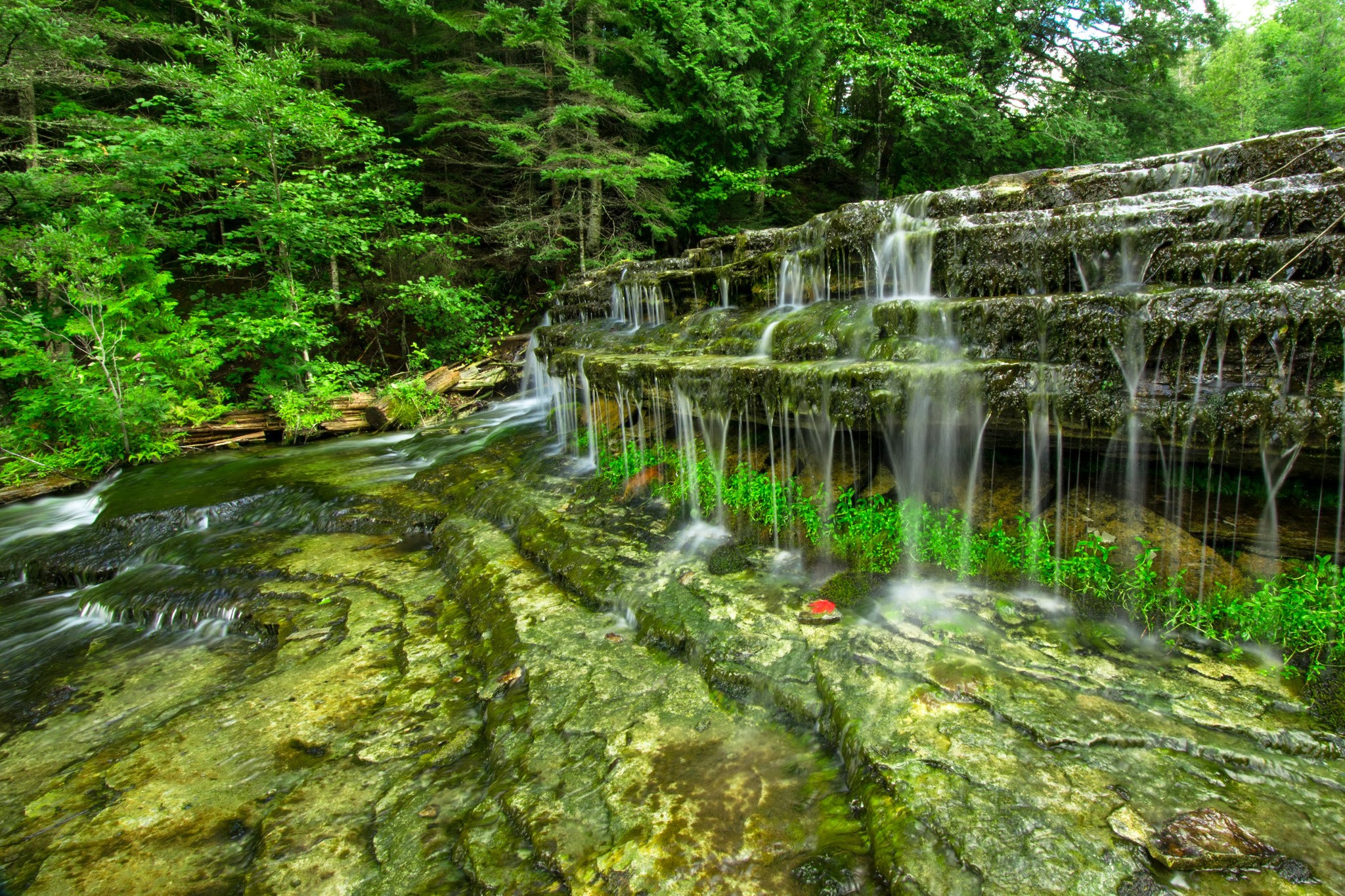 Tiered waterfalls cascade over moss-covered rocks in a forest HD Wallpaper