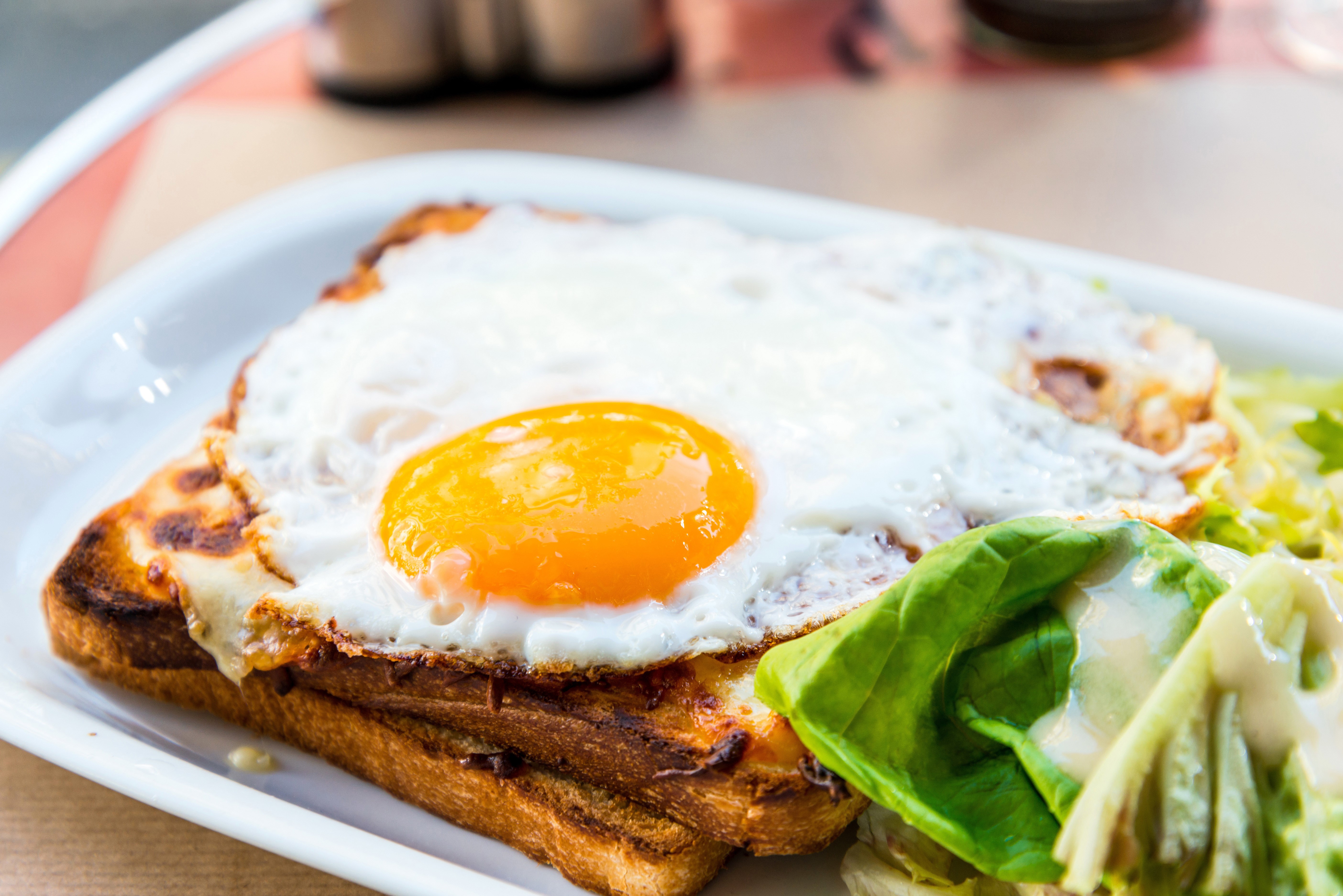 Fried egg on toast with salad HD Wallpaper