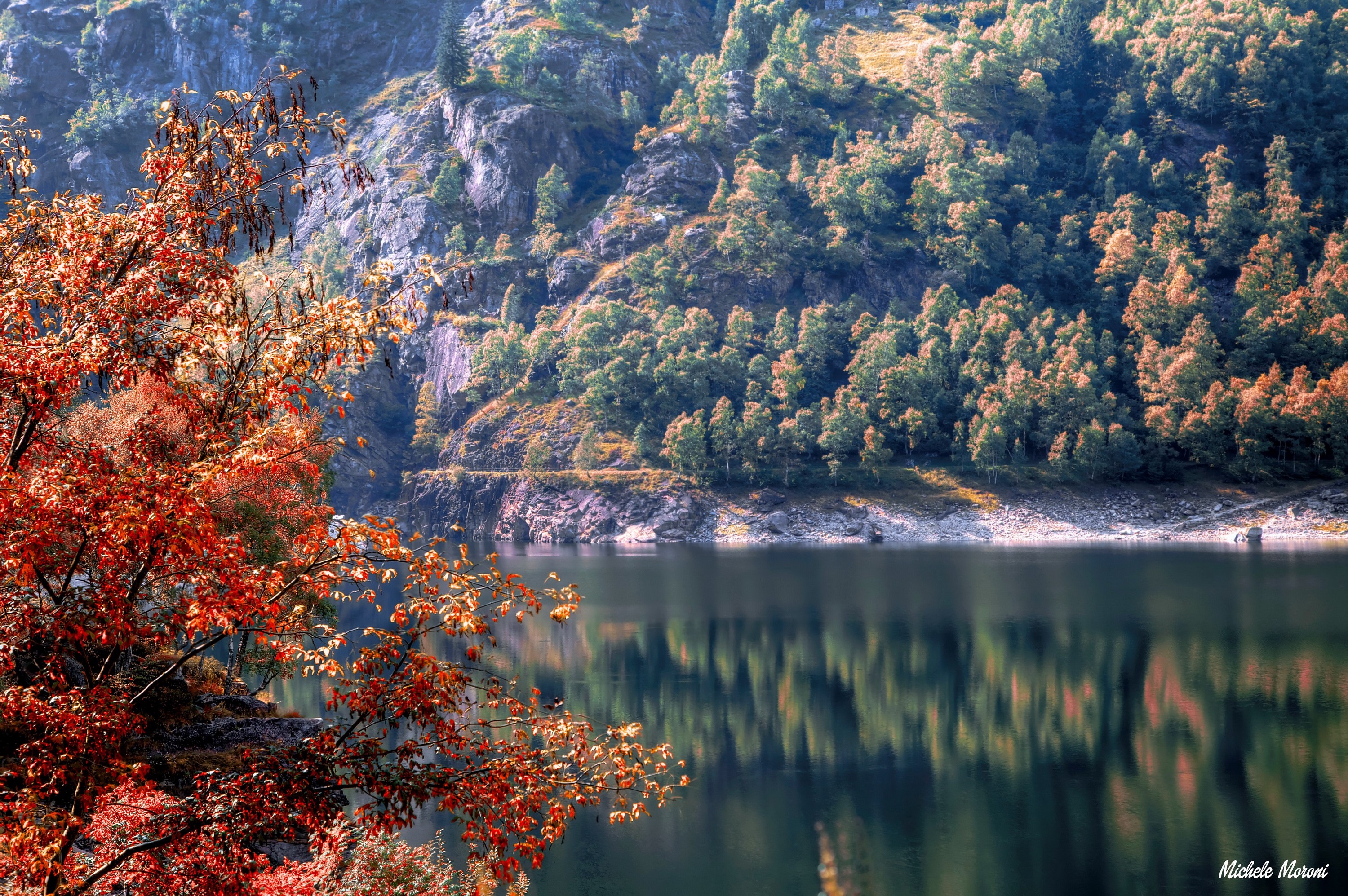 Autumn foliage by a mountain lake in Piedmont, Italy HD Wallpaper