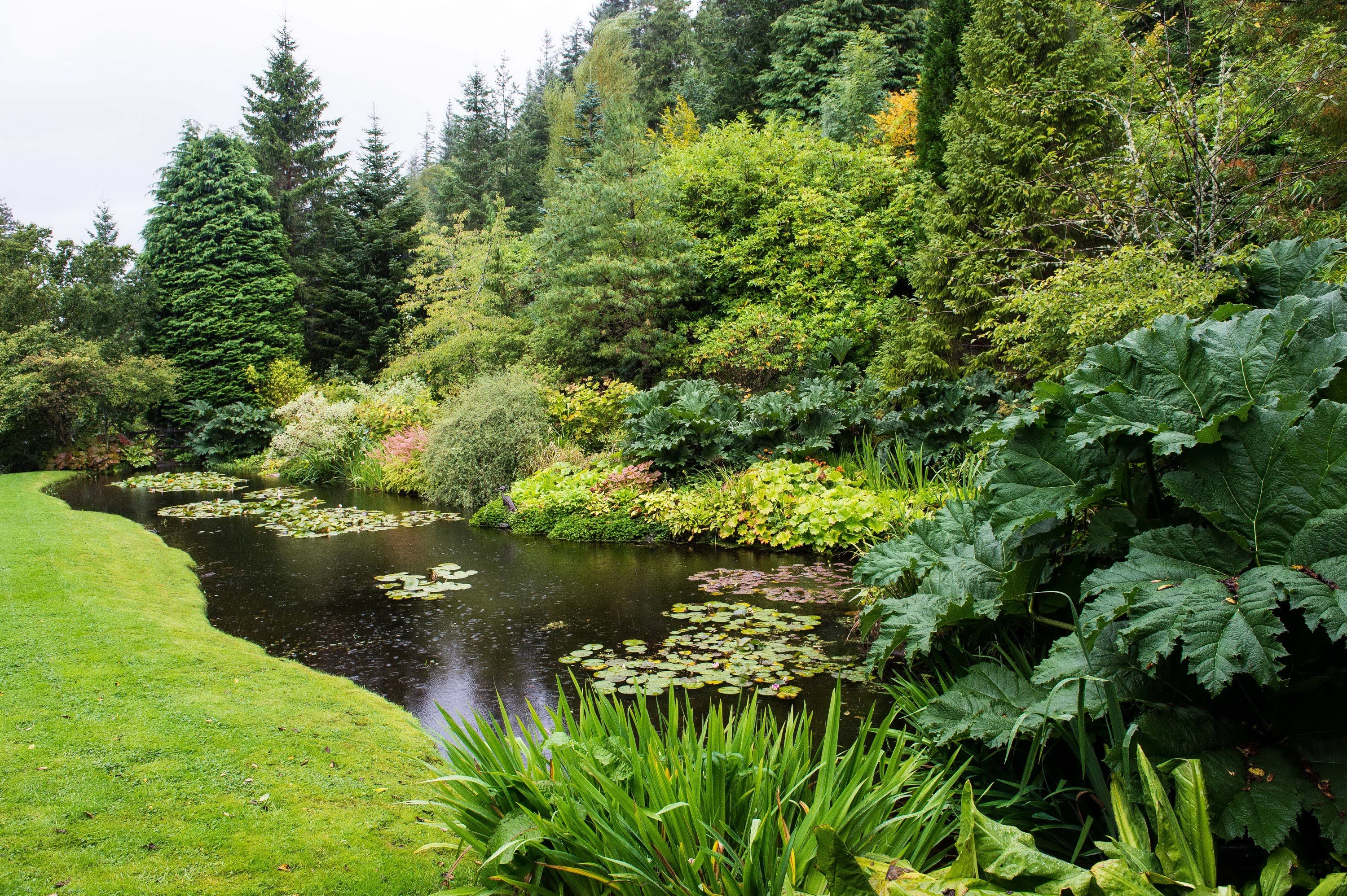 Attadale Gardens Pond with Lush Greenery in Scotland HD Wallpaper