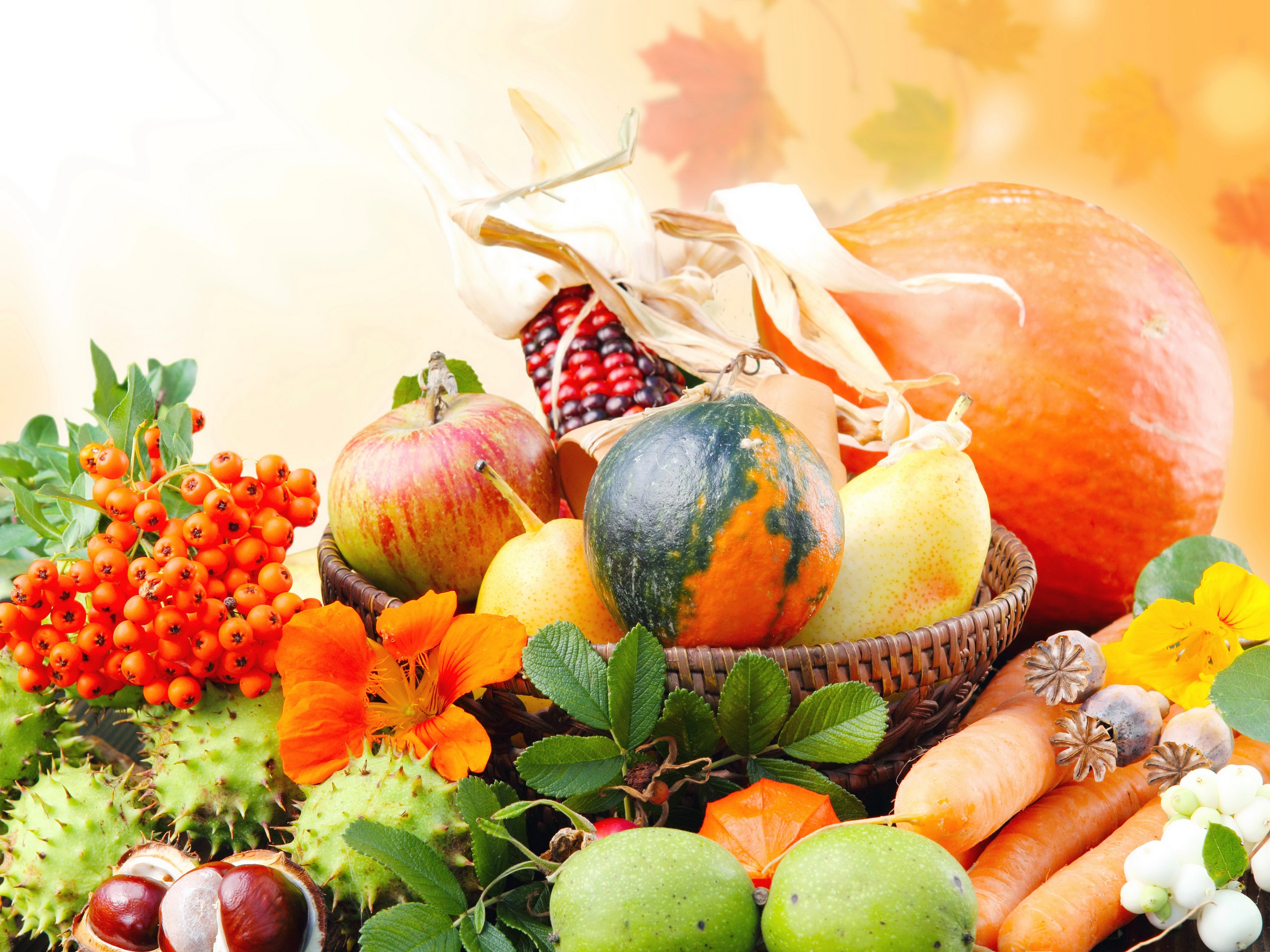 Autumn harvest arrangement with pumpkins, apples, and carrots HD Wallpaper