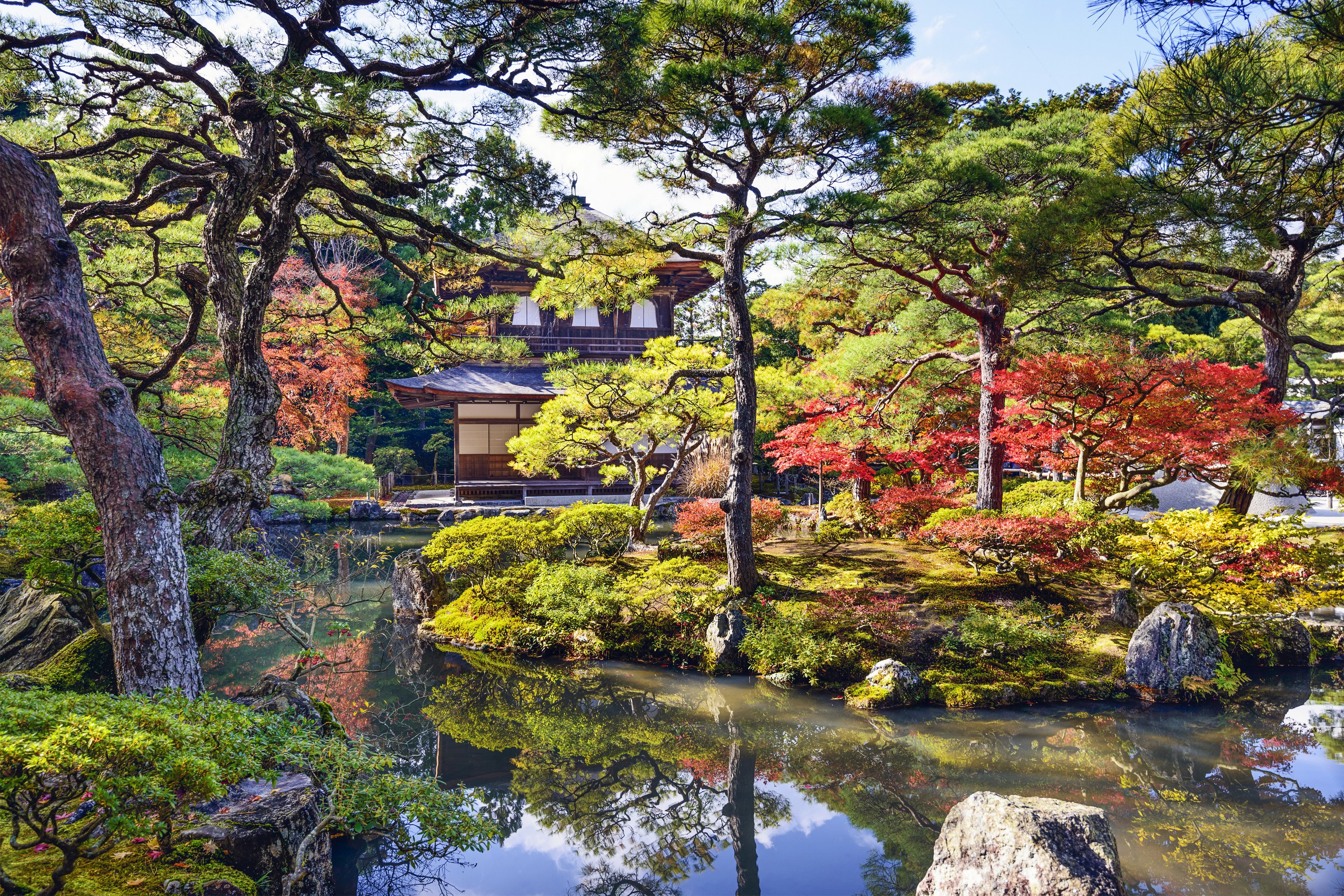 Japanese Garden with Pond and Autumn Foliage HD Wallpaper