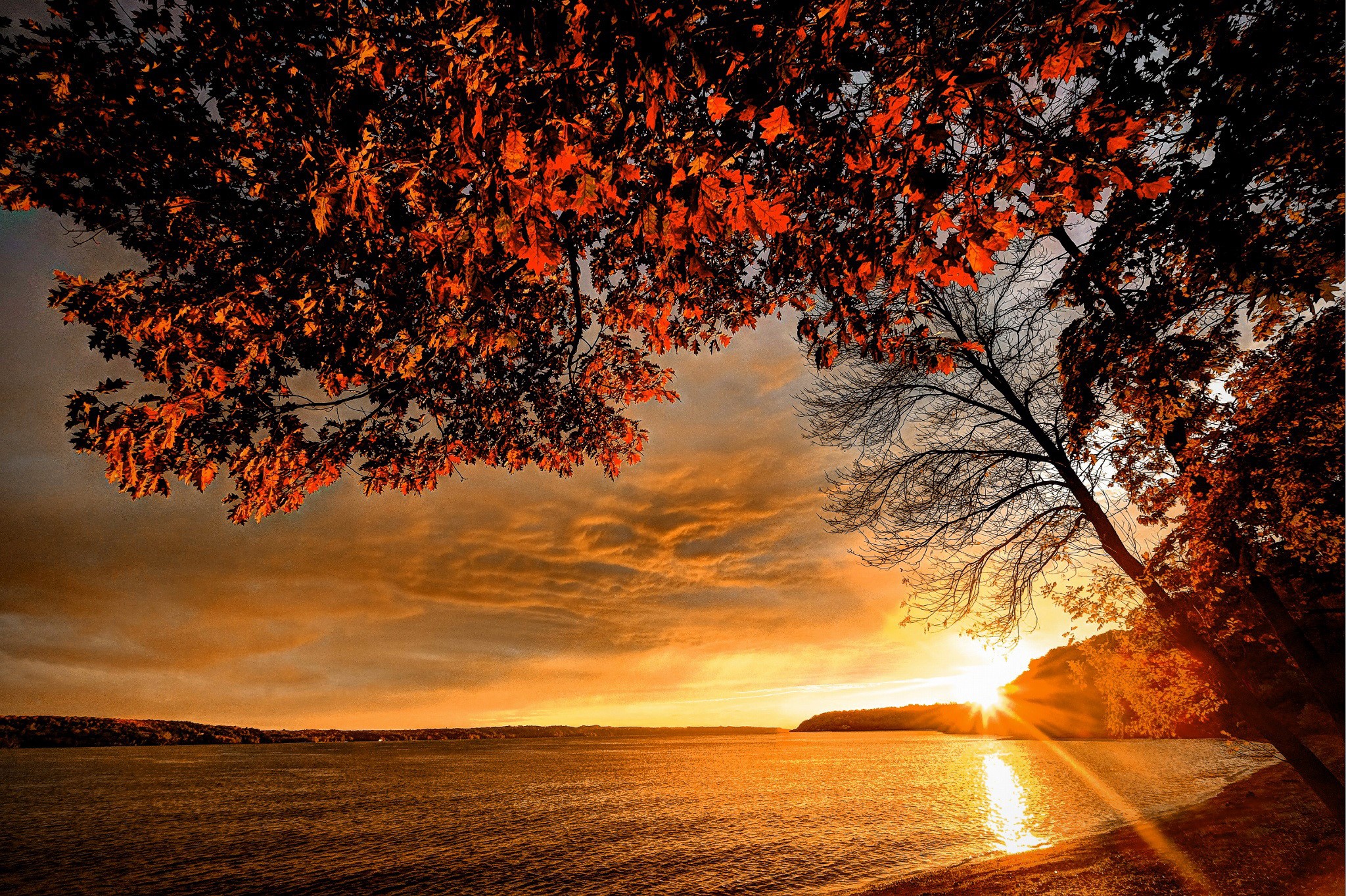 Autumn sunset over a lake with trees HD Wallpaper