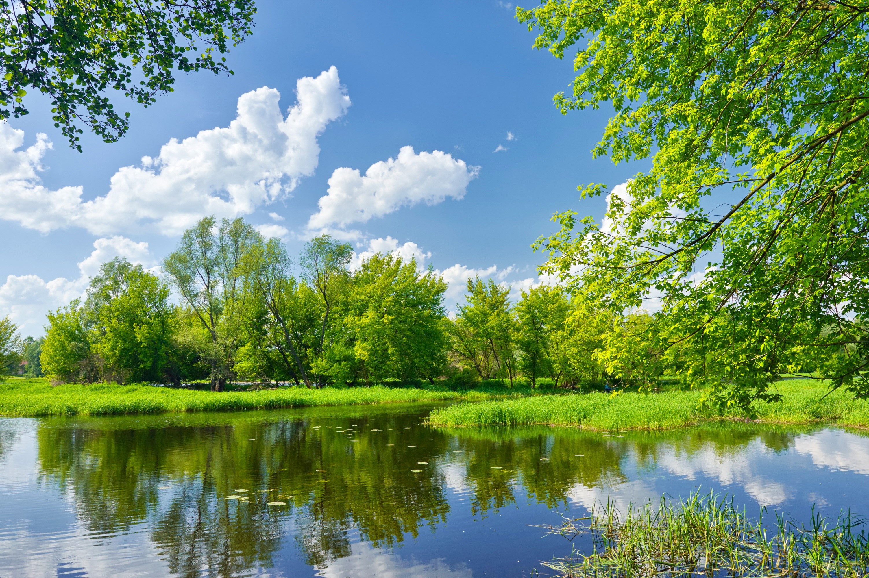 River and trees under a blue sky with clouds HD Wallpaper