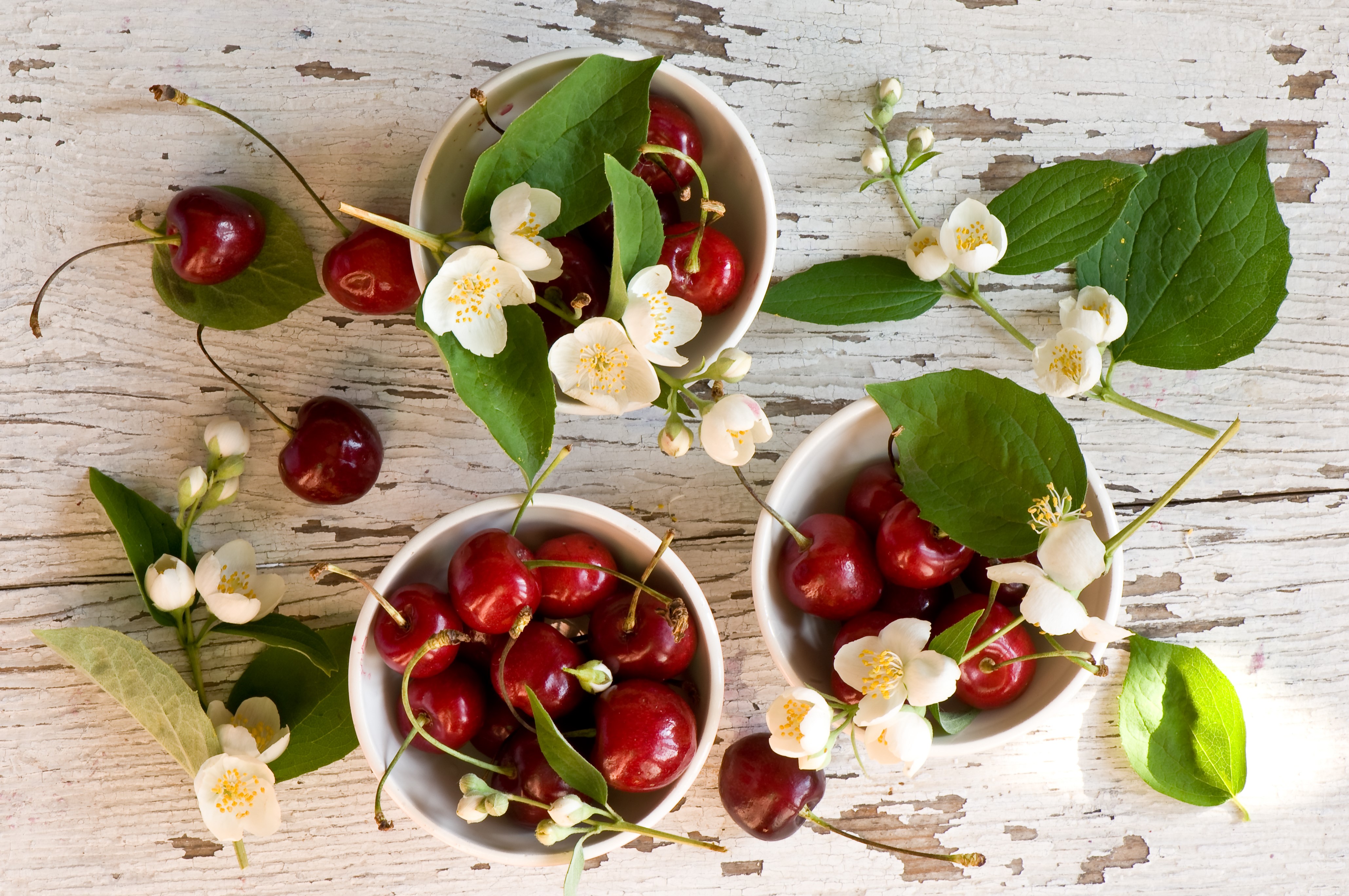 Cherries and Jasmine Flowers on Distressed Wood HD Wallpaper